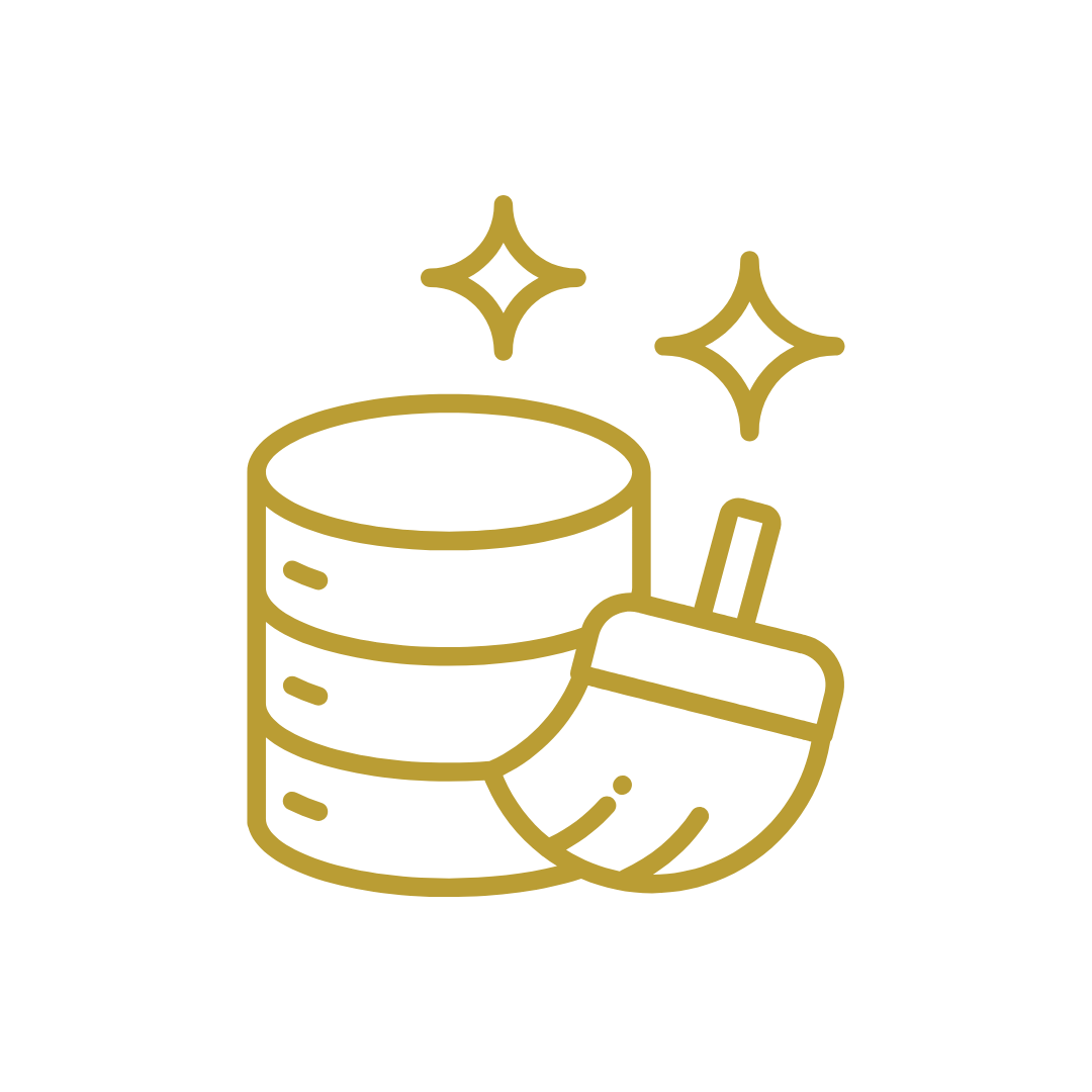 Database Review and Cleaning (Elite)