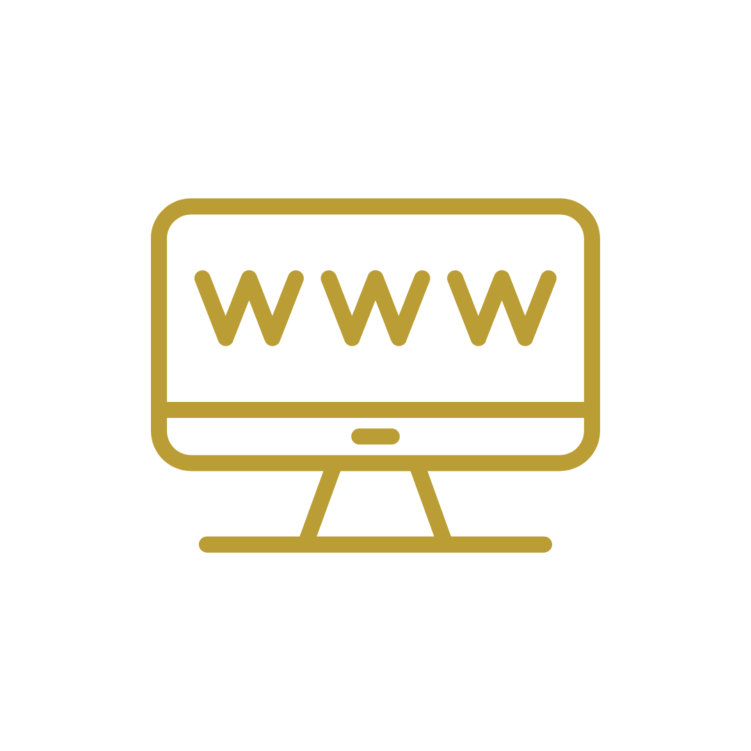 Website Design (Elite)