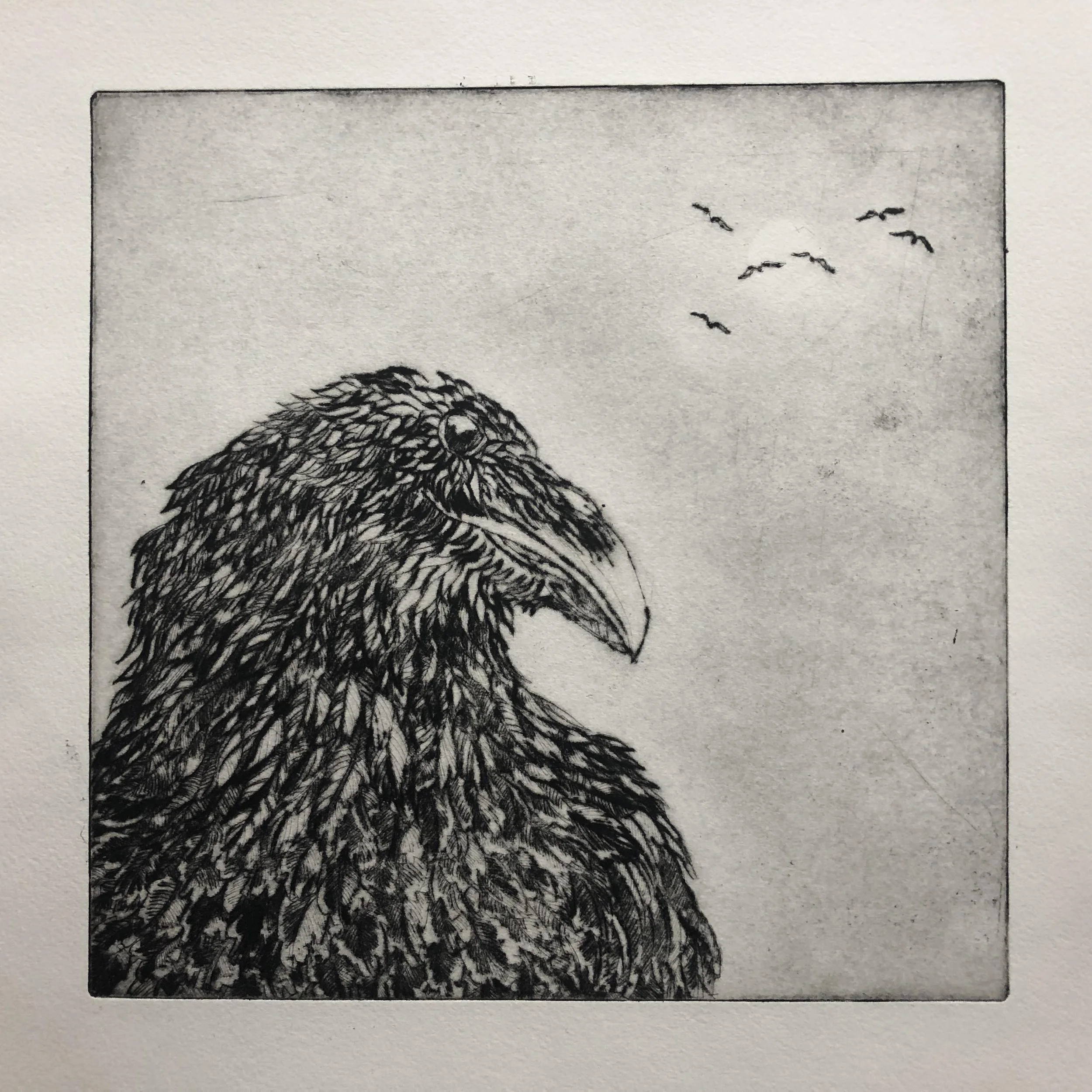 drypoint-7-crows-brother-1-full.JPG