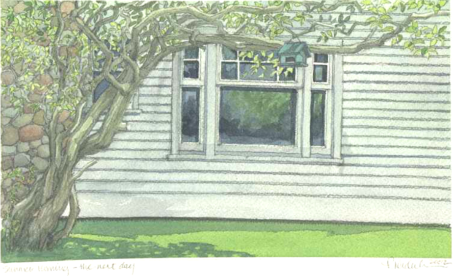 Pat's Ironwood Tree ~ The White Cottage