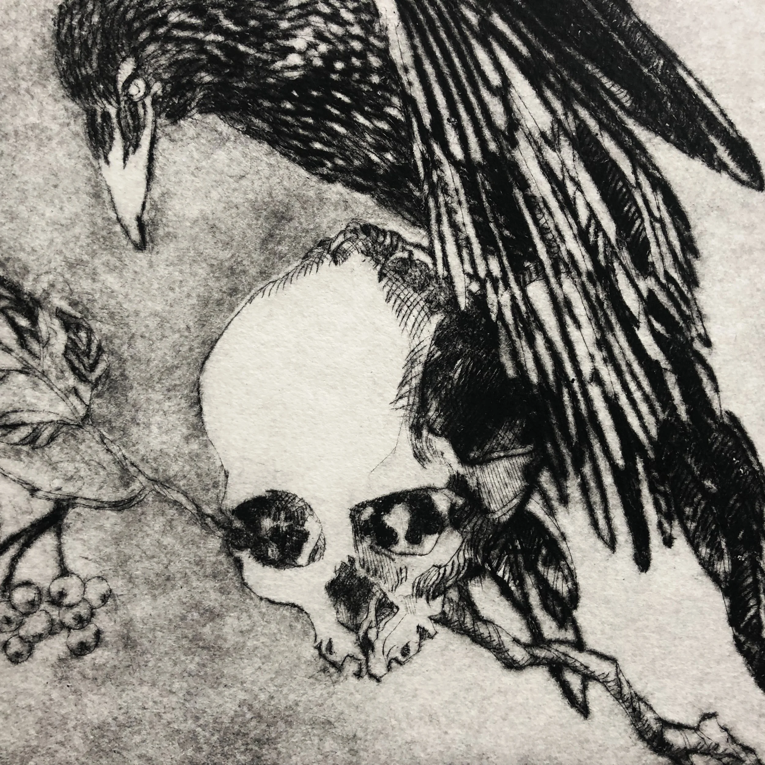 drypoint-7-crows-brother-2-cu.JPG