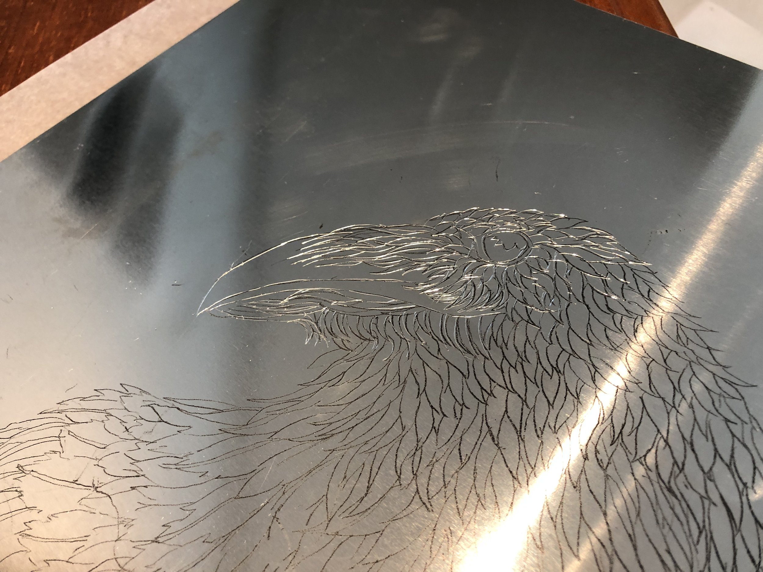 drypoint-7-crows-plate-cu.JPG