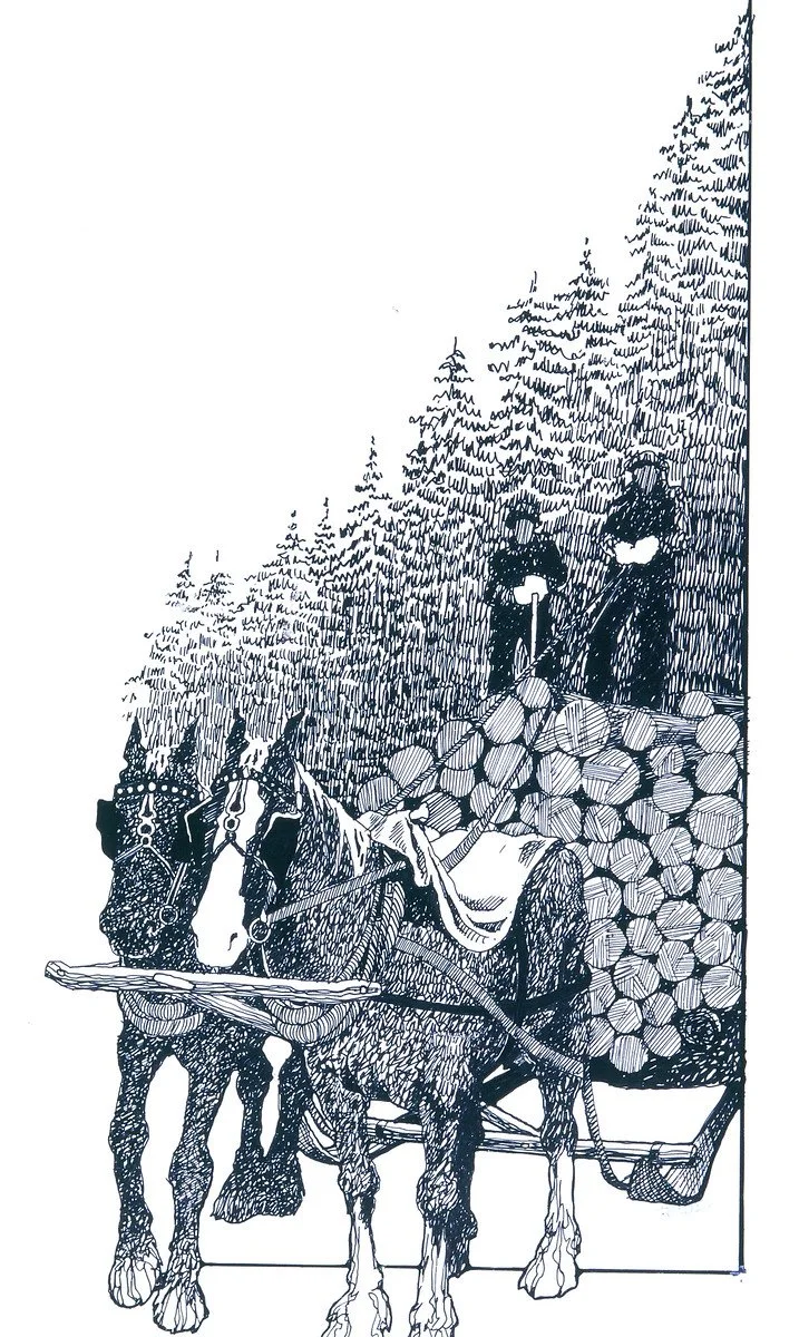 waldie-communications-forestry.jpg