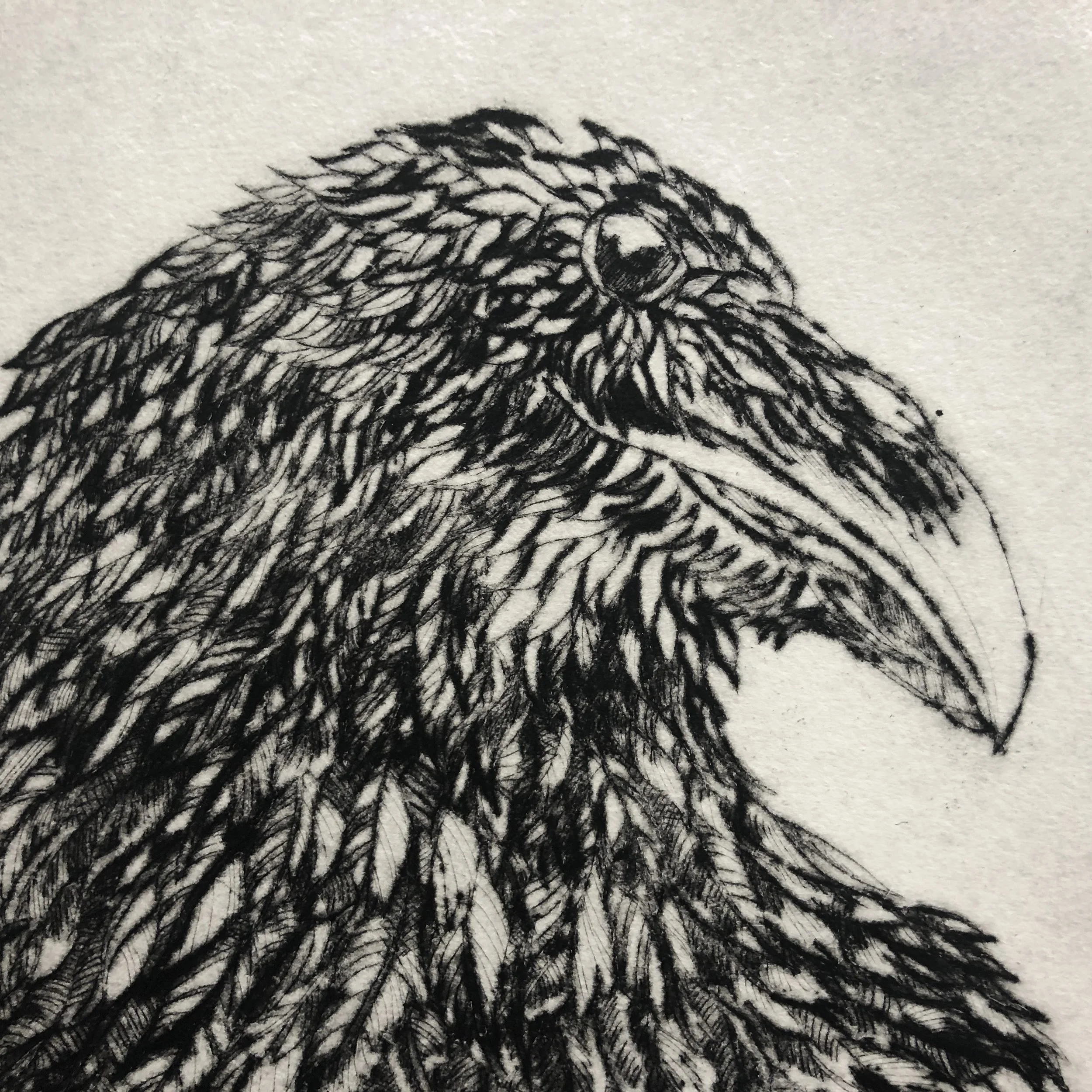 drypoint-7-crows-brother-1-cu.JPG