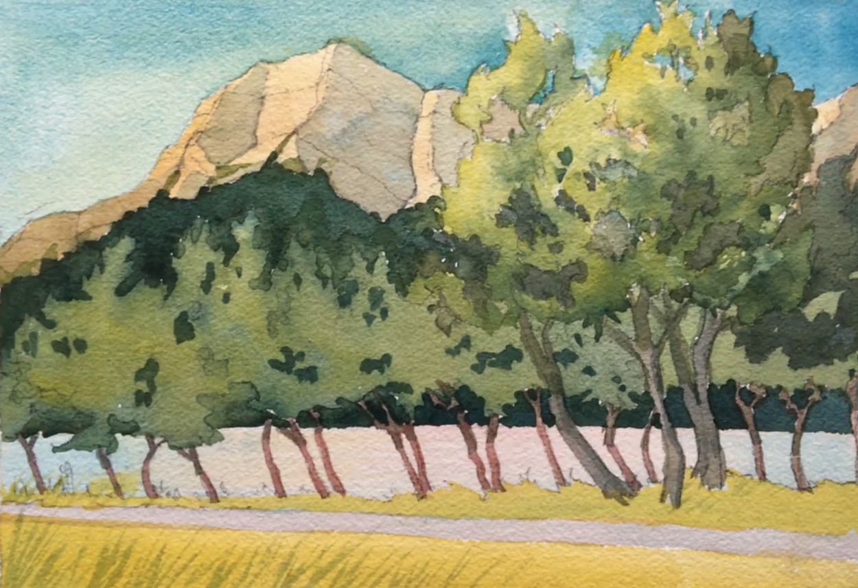 The Cedars ~ Kananaskis Park