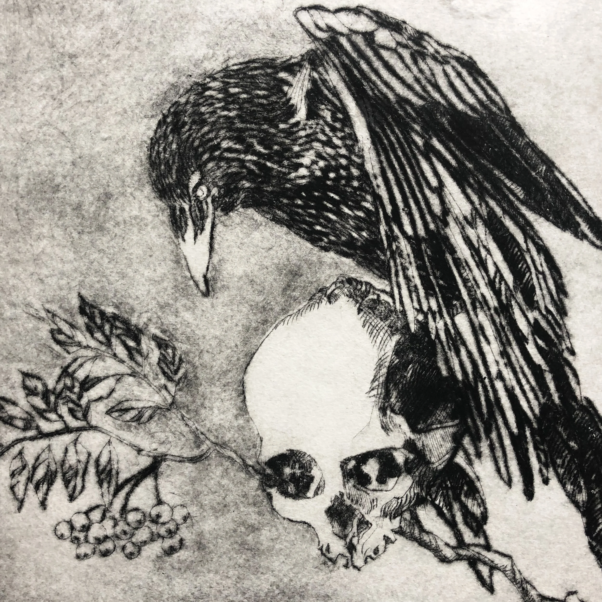 drypoint-7-crows-brother-2.JPG