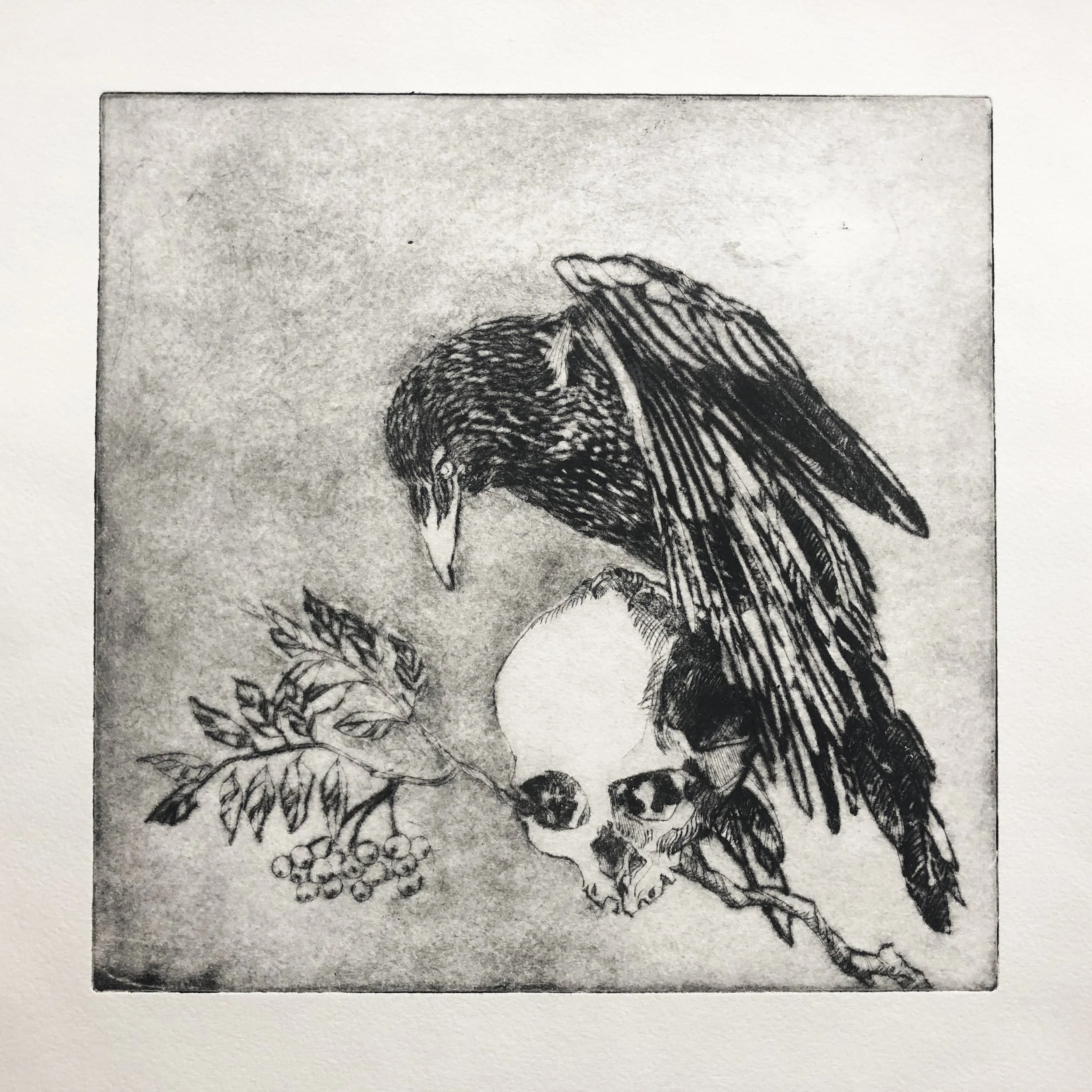 drypoint-7-crows-brother-2-full.JPG