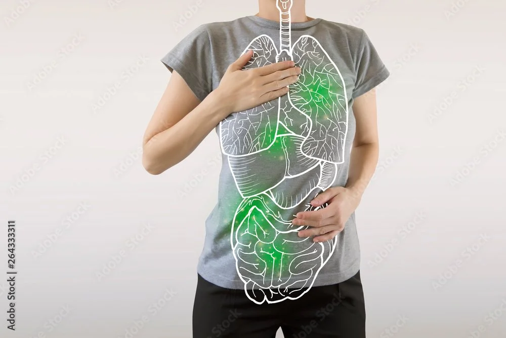 Person with transparent drawable illustration of lungs and digestive system on their torso, with hand on chest and stomach.