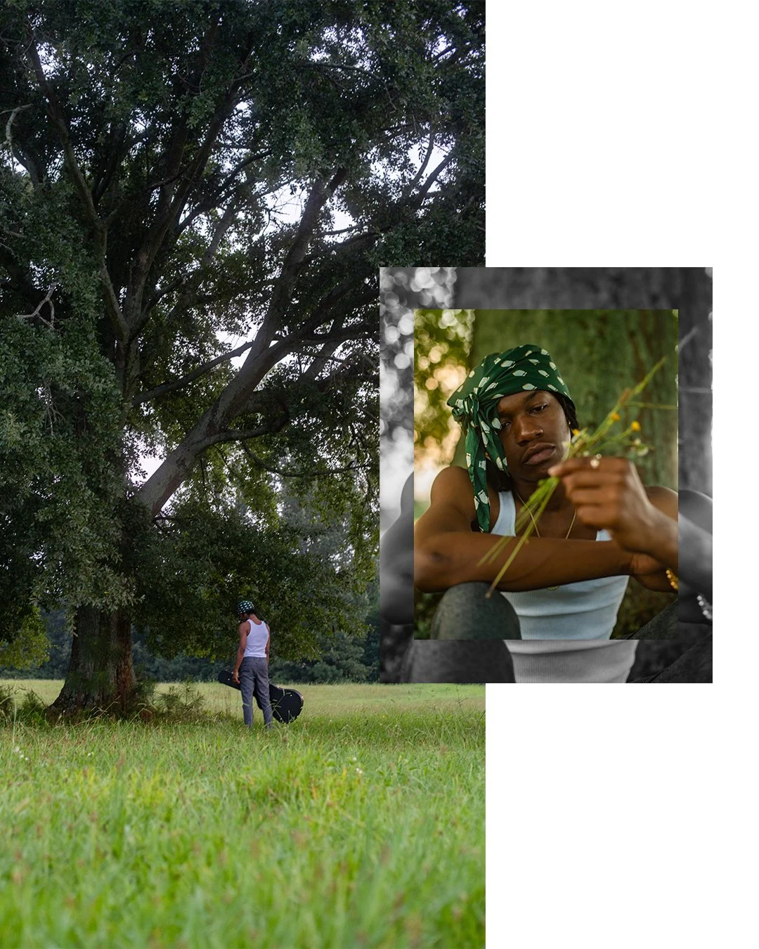 GreenBansDC-C3_05.JPG