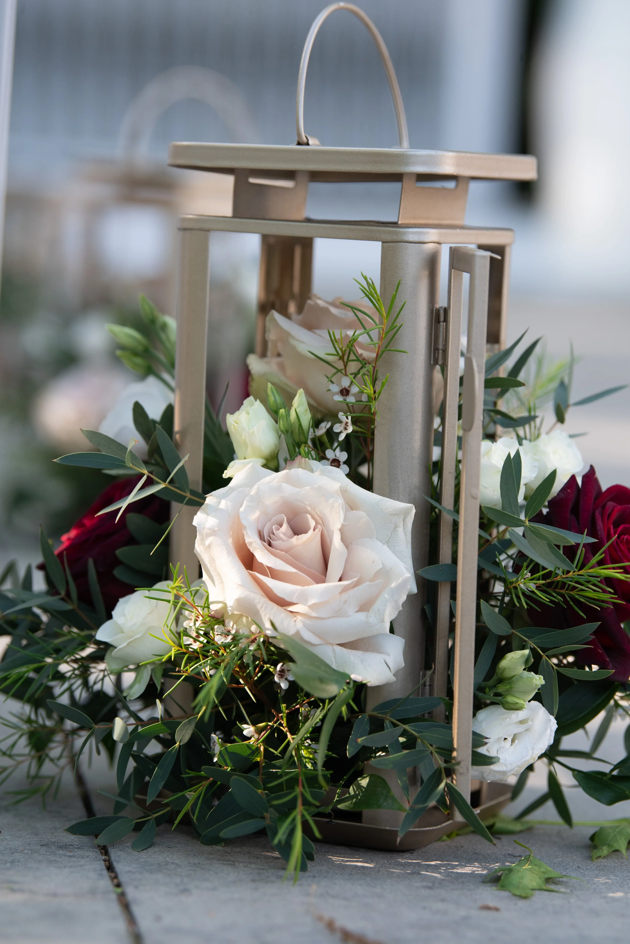 Rebecca Ferullo Photography 2.JPG