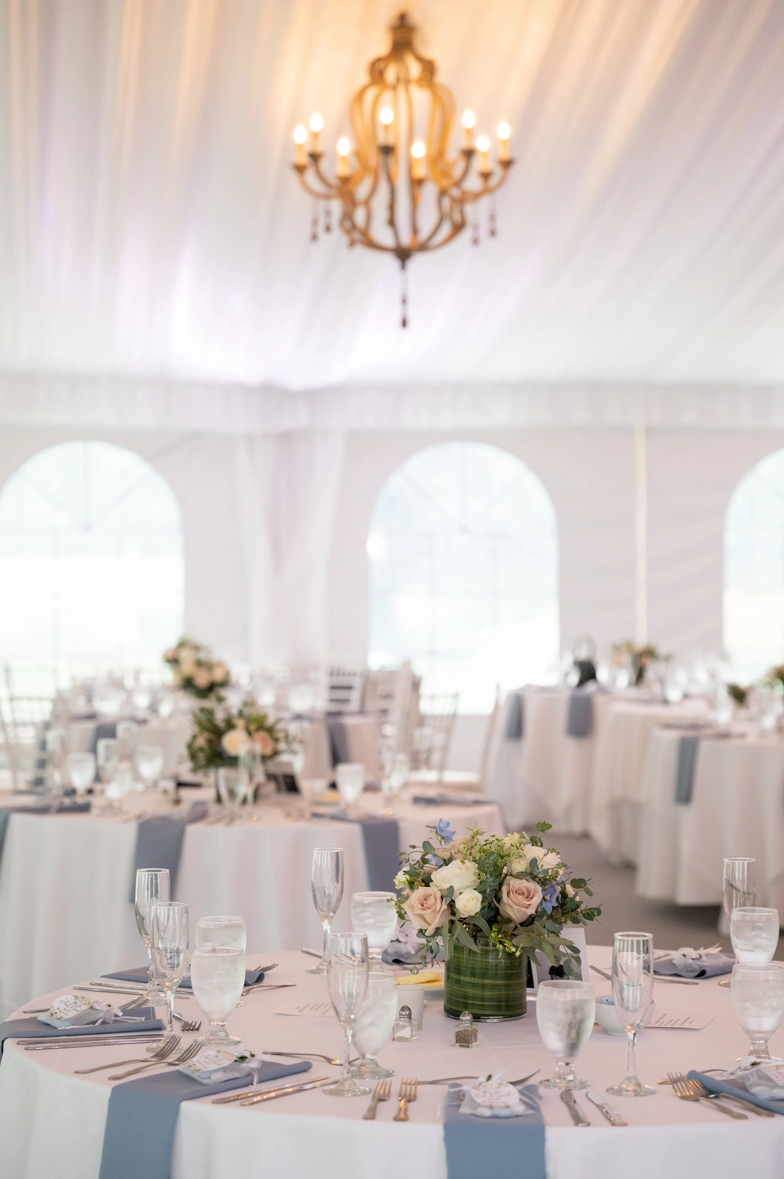 Copy of DSC_8978 2.jpg