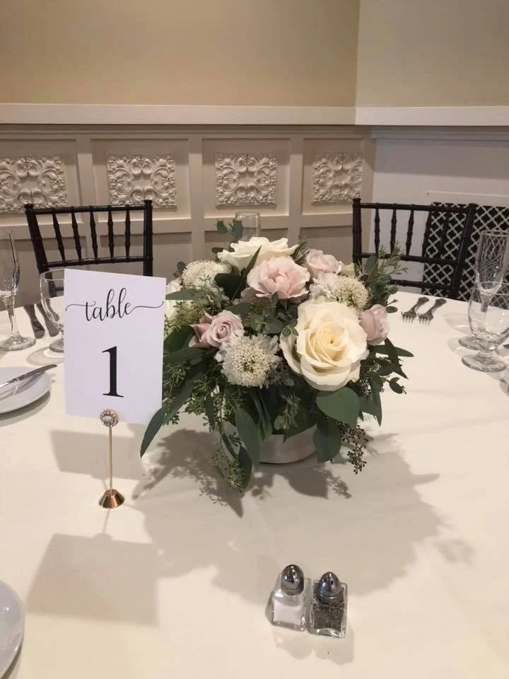 Elegant Blush and Ivory.jpg