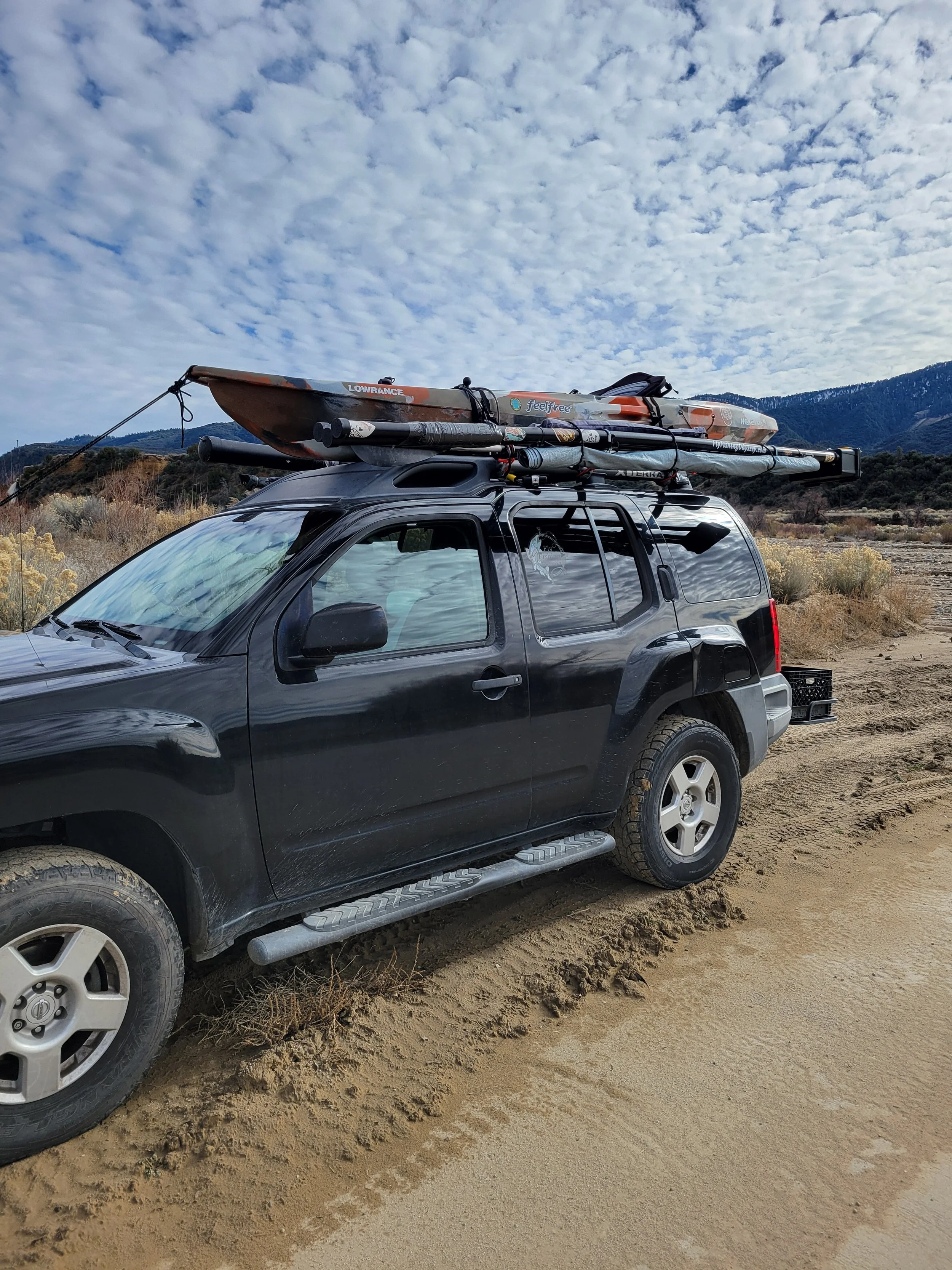 Ventura Mountains still holding Trout in remote creeks.