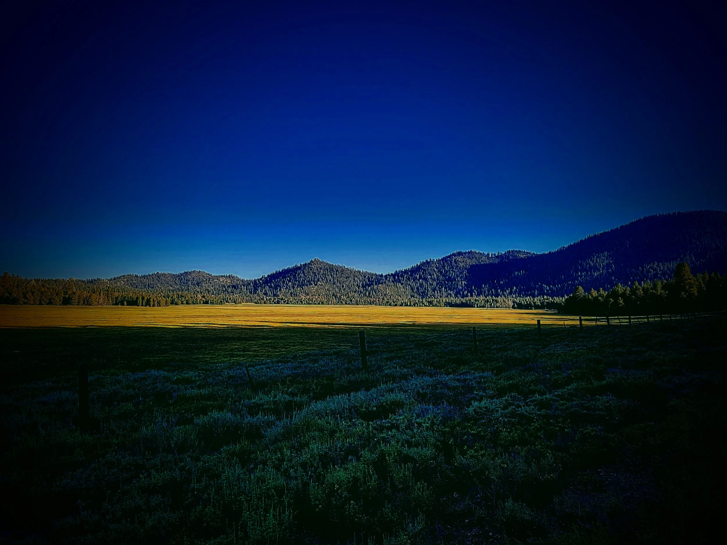 Trout Fishing the High Country of Kern River Valley