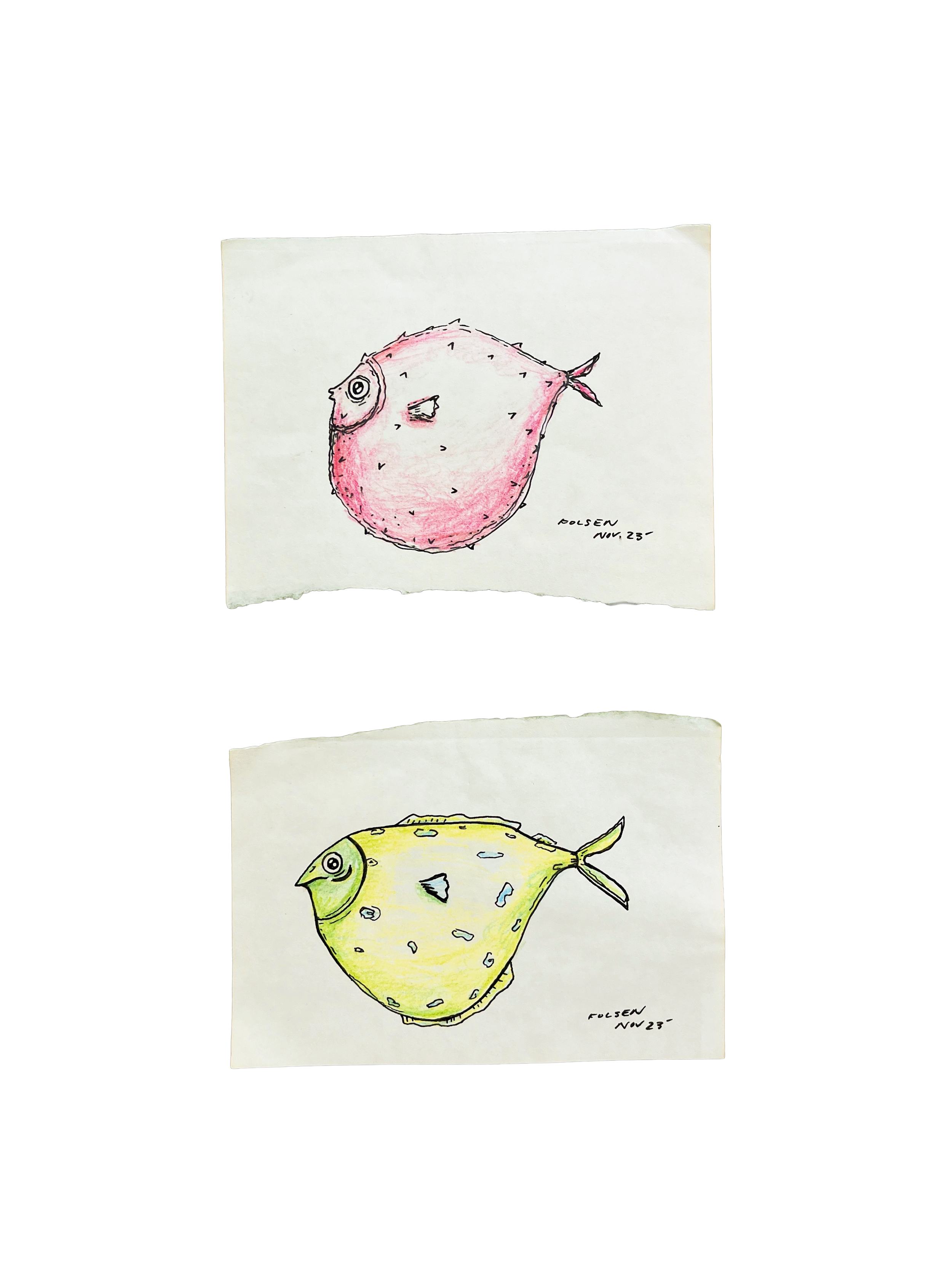 Two hand-drawn illustrations of stingrays, one pink and one yellow, on white paper. Each is signed and dated November 23.