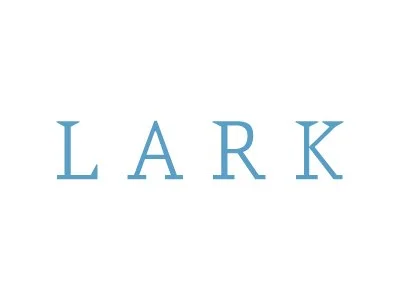 The word "LARK" written in blue capital letters on a white background.