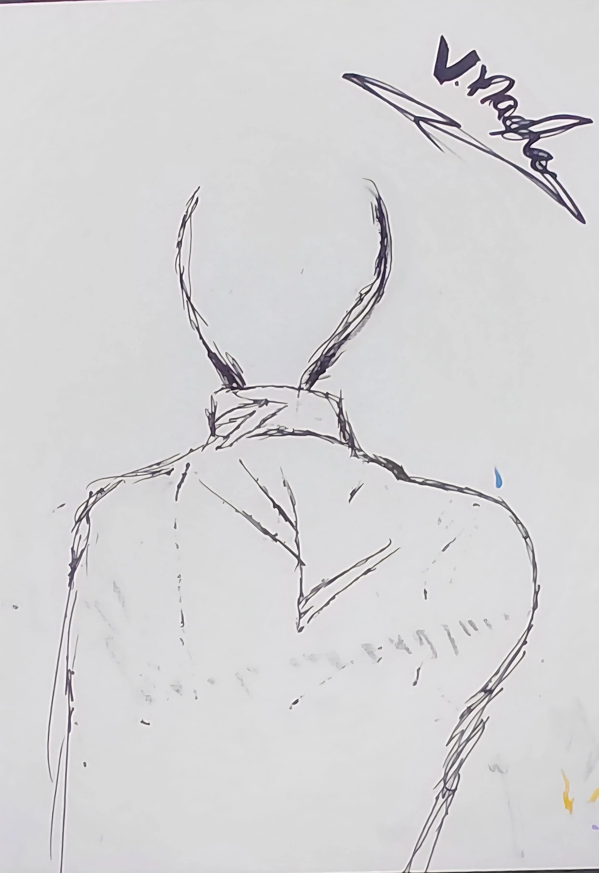 25a.jpg