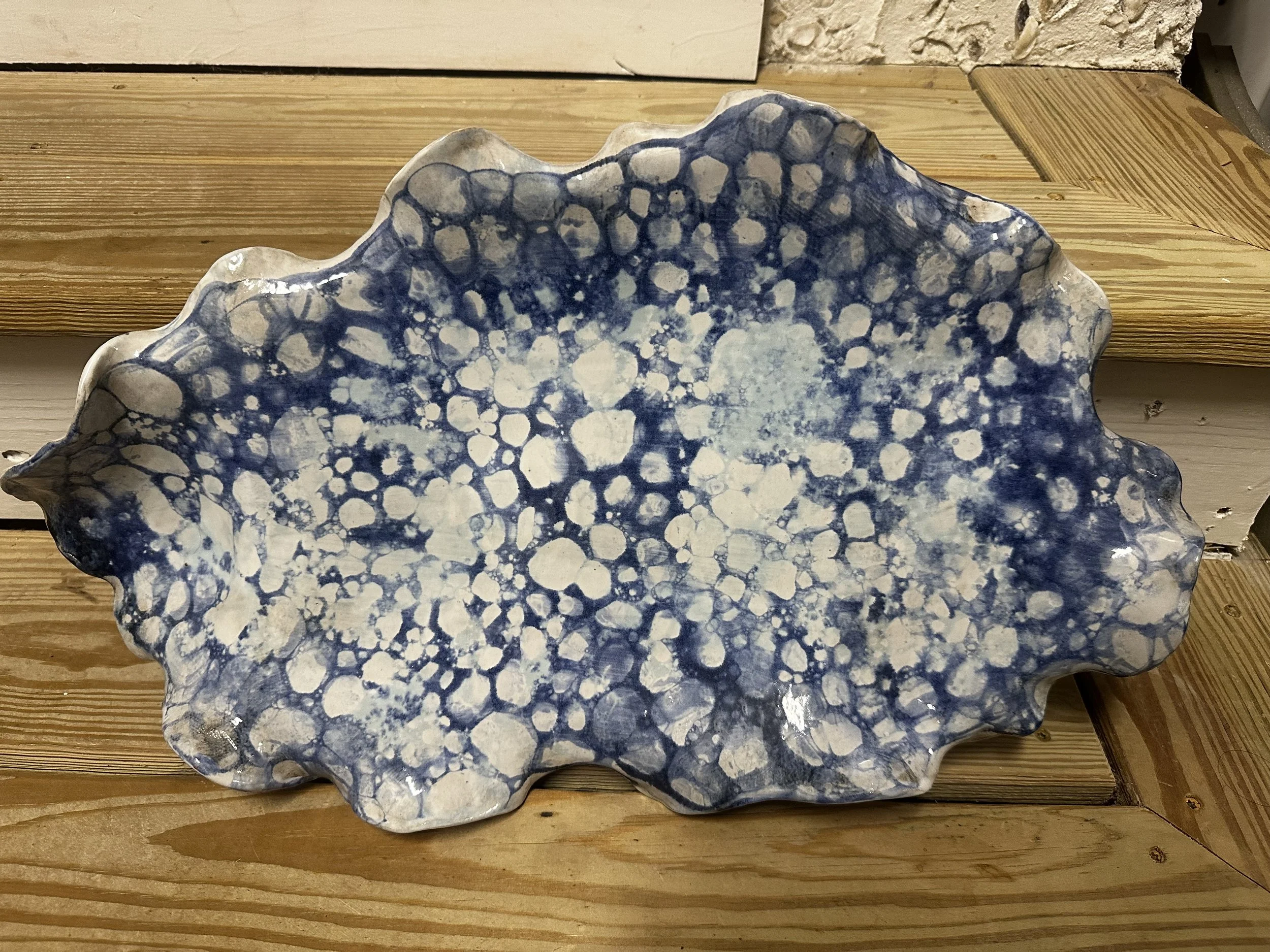 Bubbly Oyster Showstopper