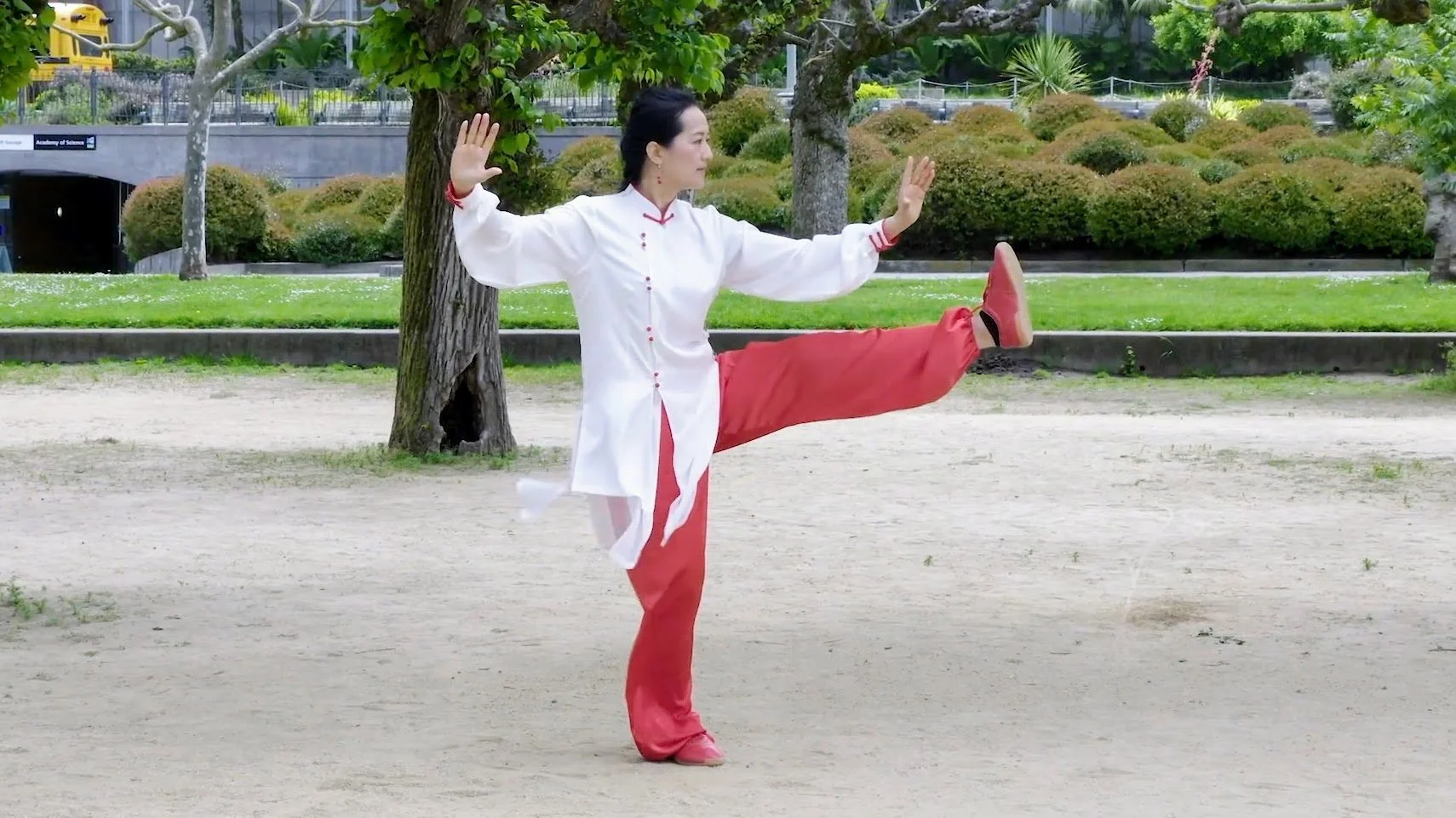 42 Form Tai Chi Workshop with Sifu Amin Wu
