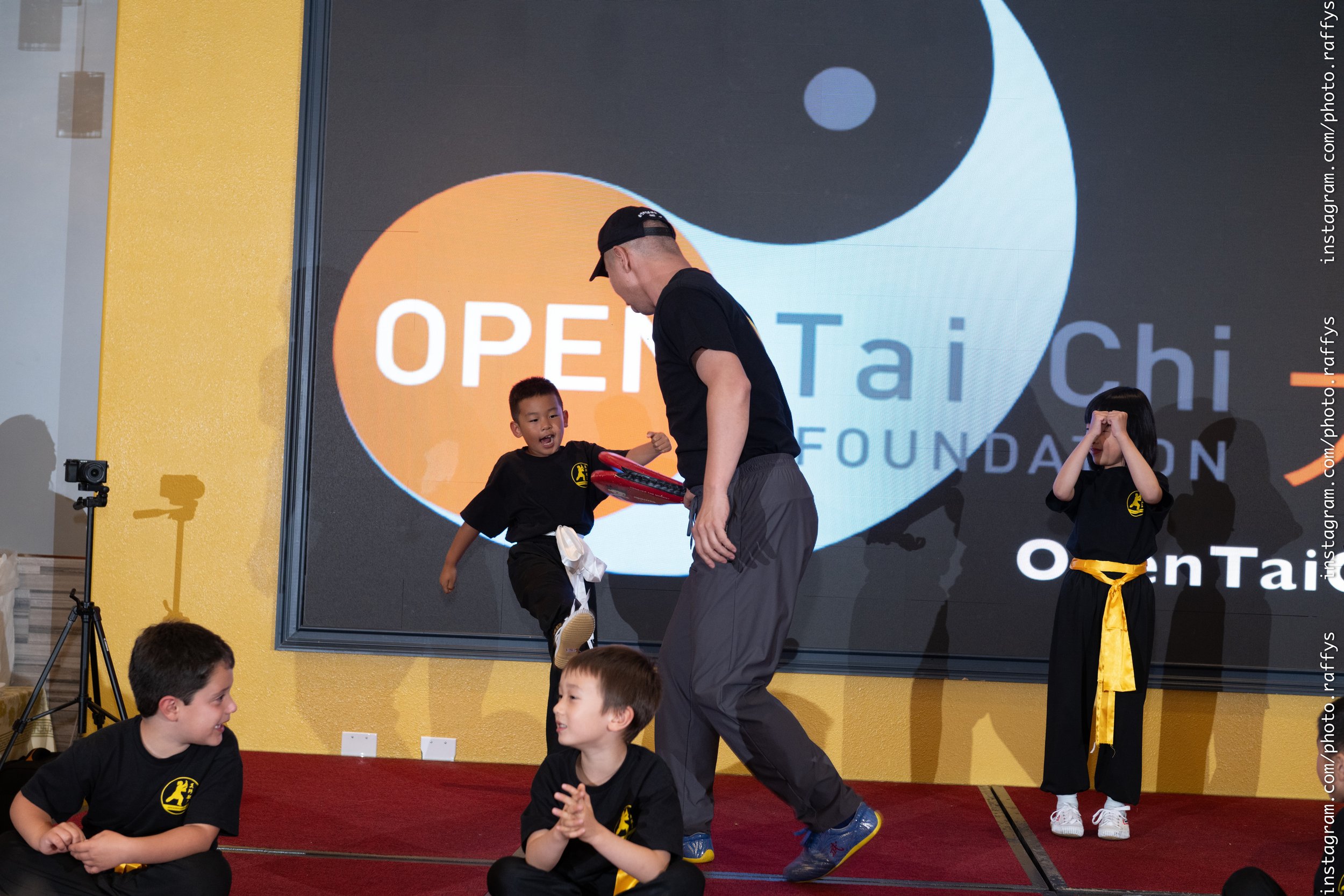 2025 Gala - Open Tai Chi Foundation-490-490.jpeg
