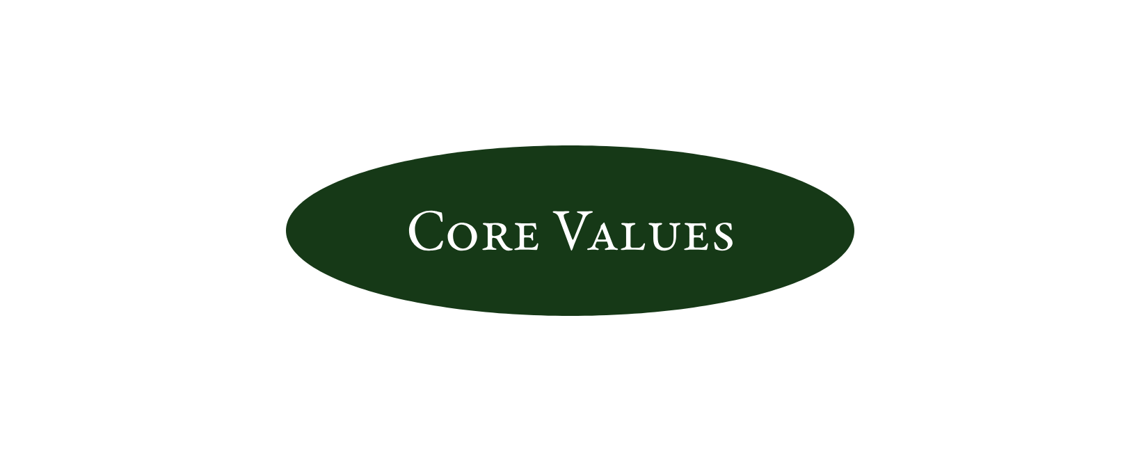 Chart showing core values with a green oval labeled 'Core Values' in the center, surrounded by text boxes connected with lines.