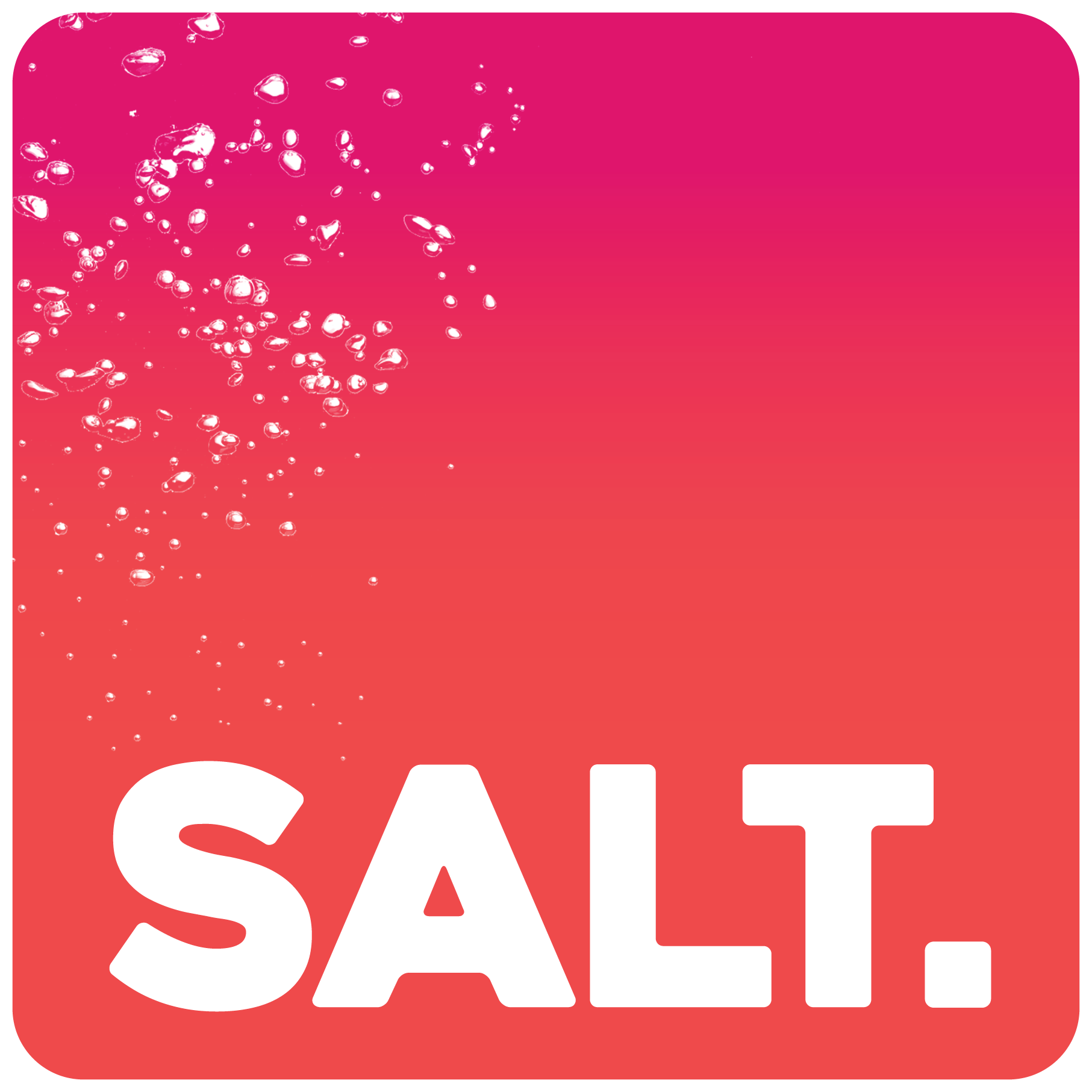Salt Logo