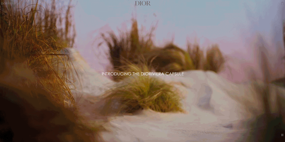 Dior.com | Gestion de projet | Conception et déploiement mini-site Dioriviera