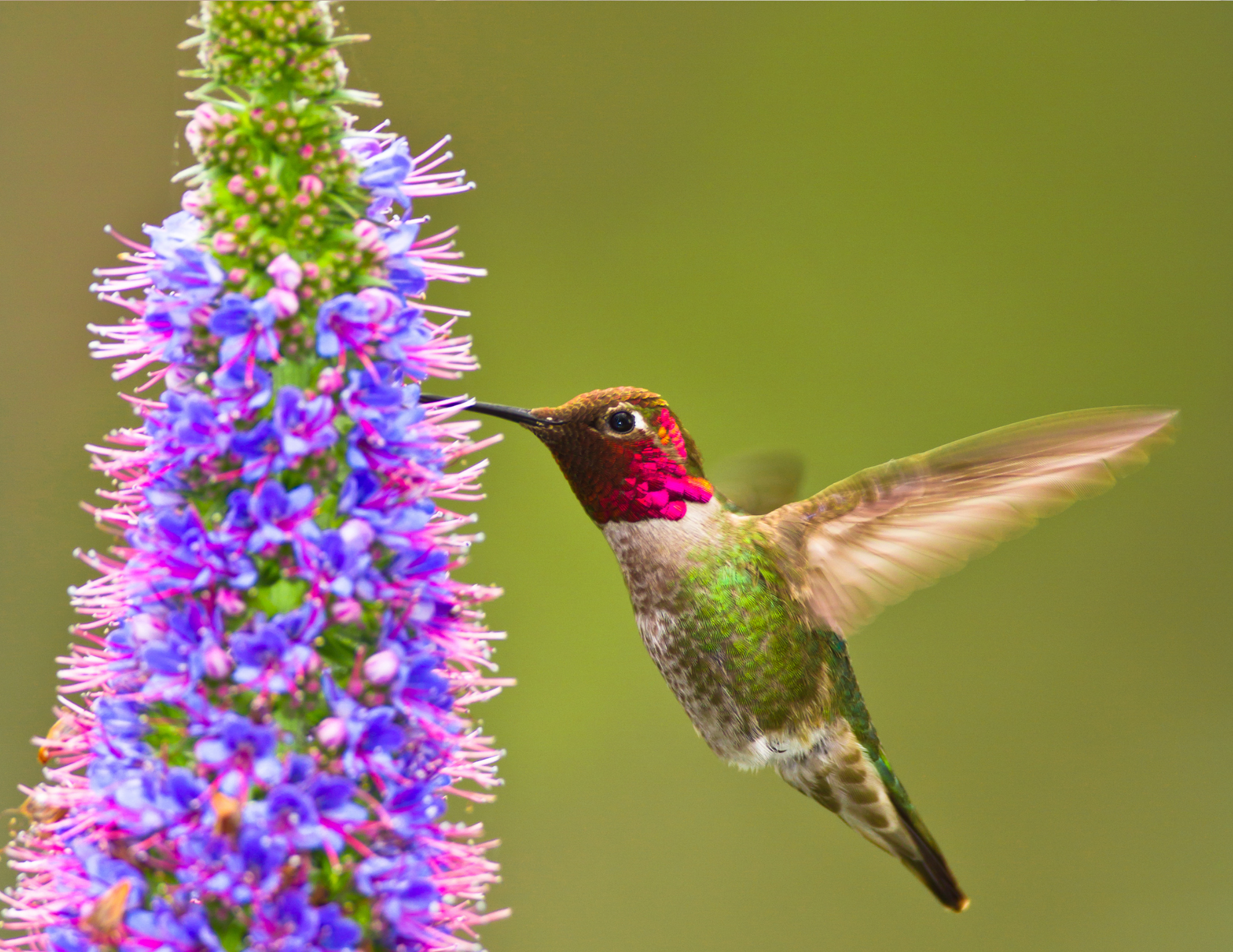 Because, small moments mean everything.