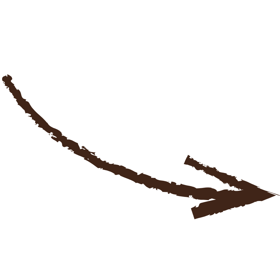 Close-up of a brown plant stem with a small branch extending from it, against a plain black background.