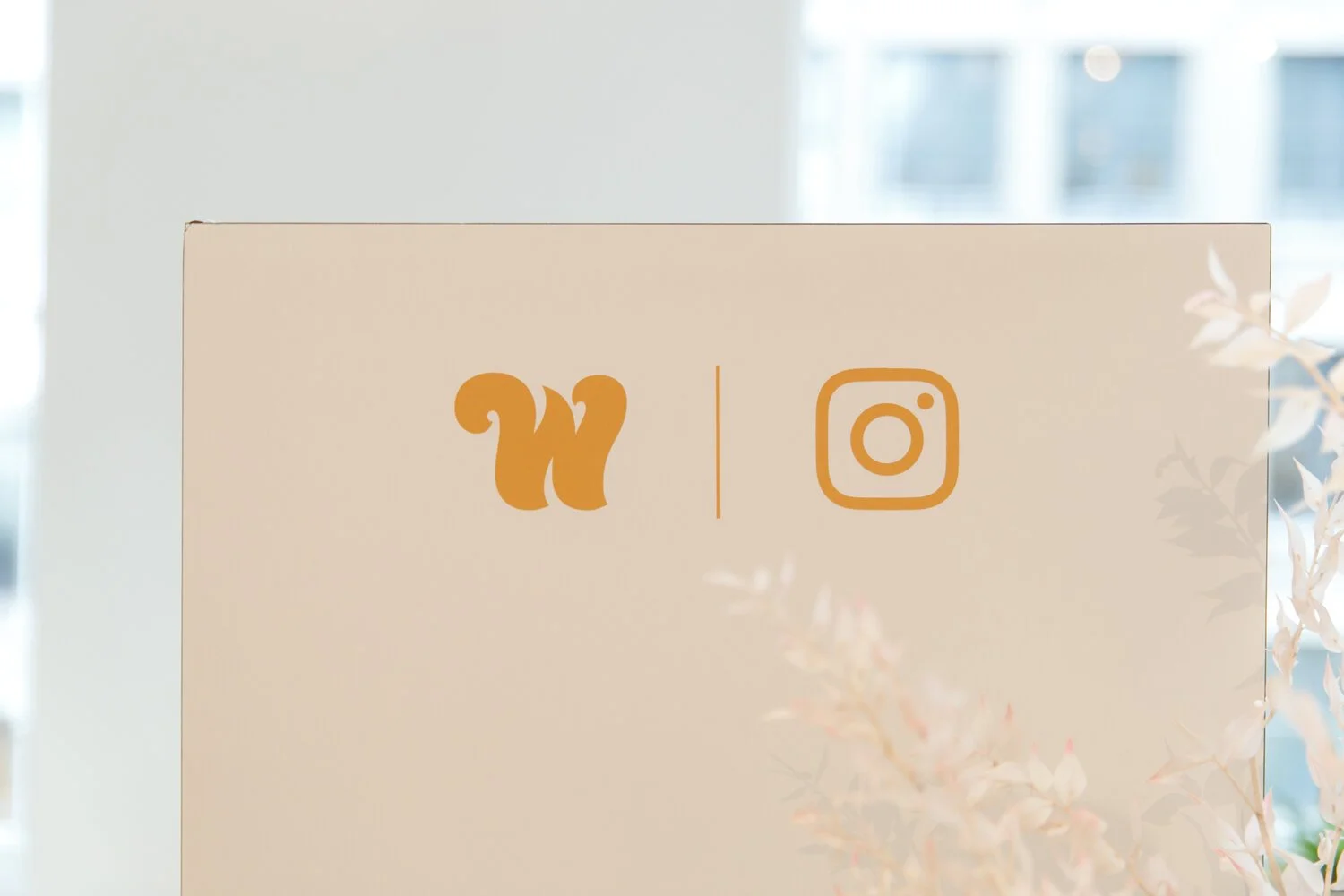 The-Wing-Instagram-7.jpeg