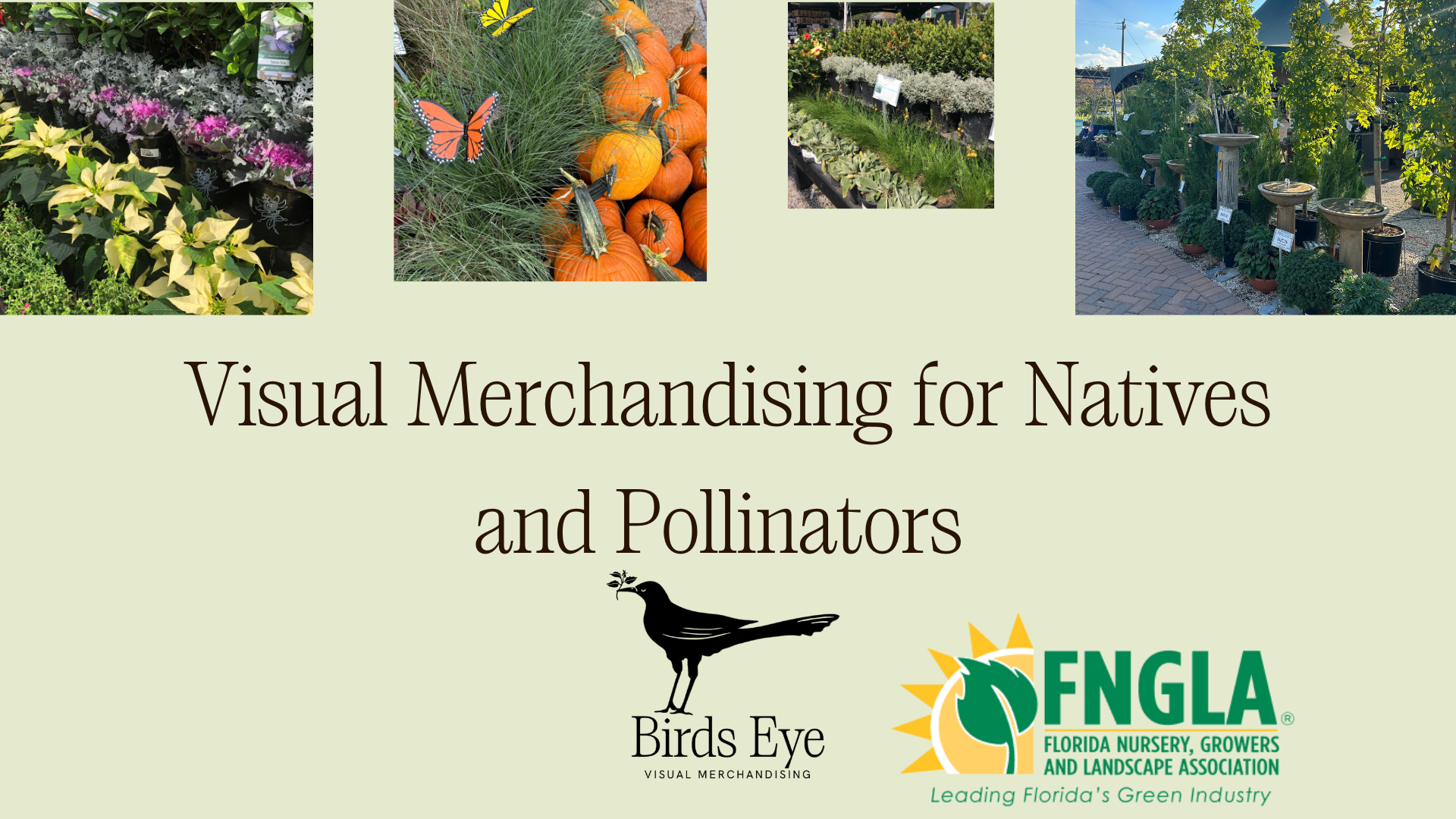 Intro slide for ‘Visual Merchandising for Natives and Pollinators’ presentation, focused on garden center display strategies and pollinator-friendly merchandising.