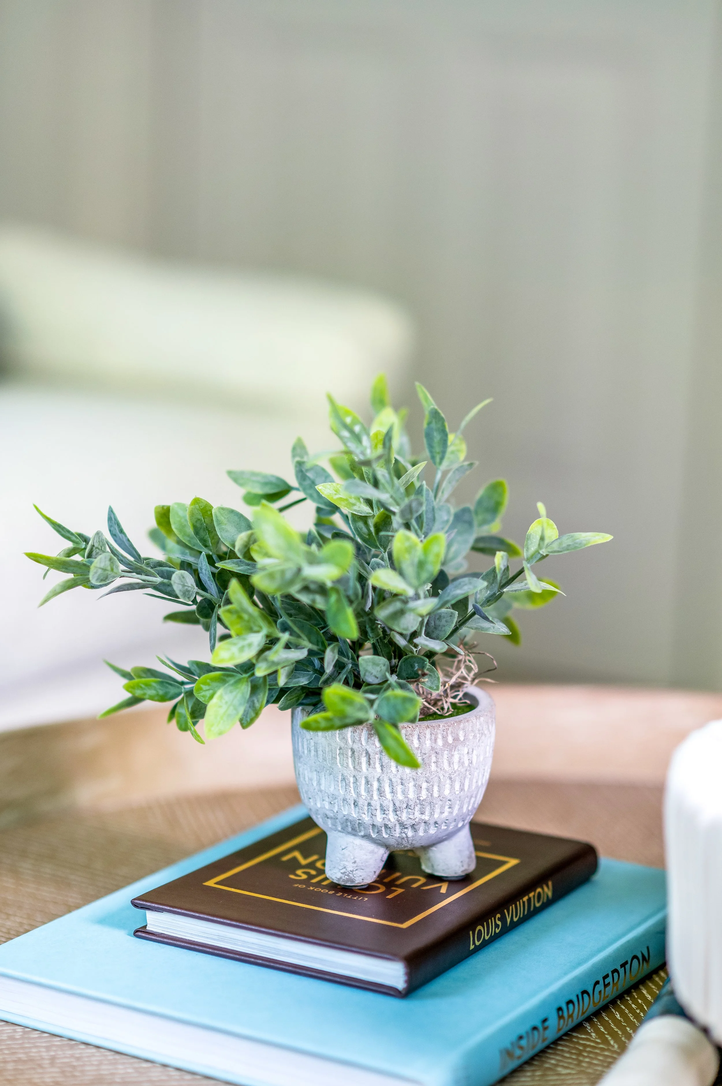 Green potted plant on top of two books, one black and one blue, on a rattan surface.