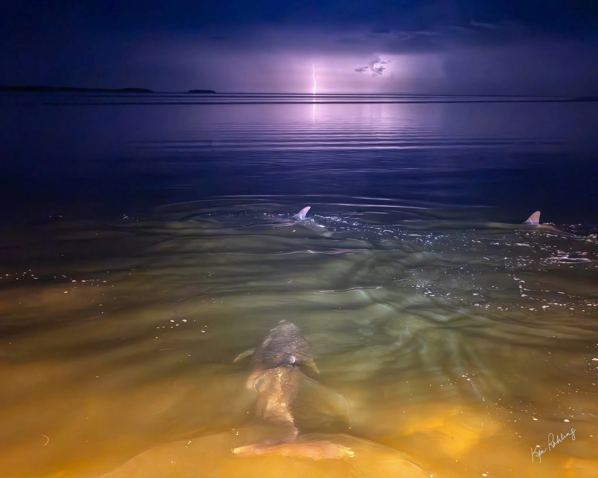 Florida Bowfishing Adventures.jpg