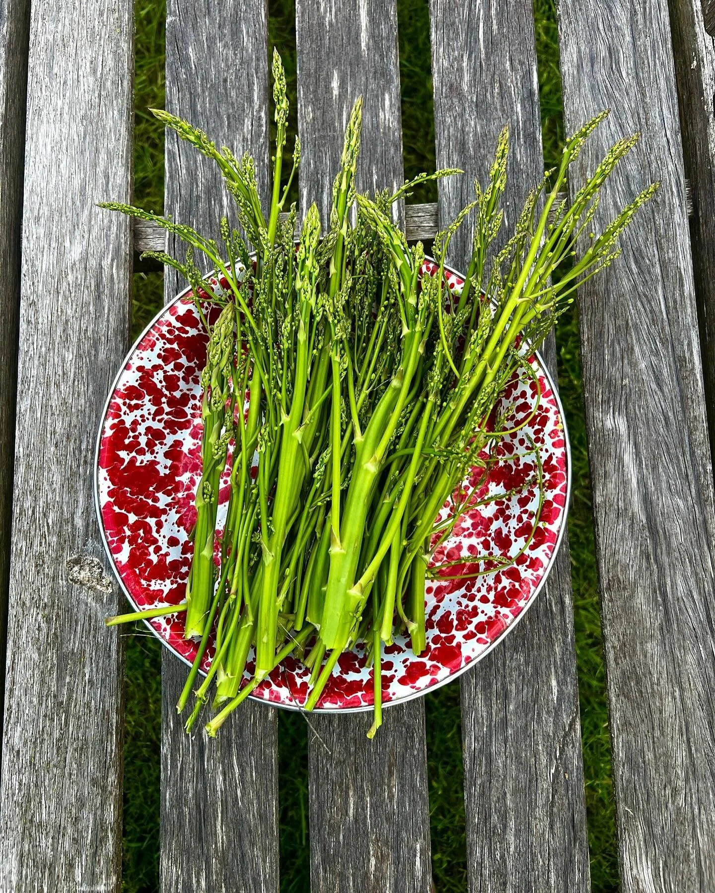 Vermont grown asparagus. #asparagus #vermont