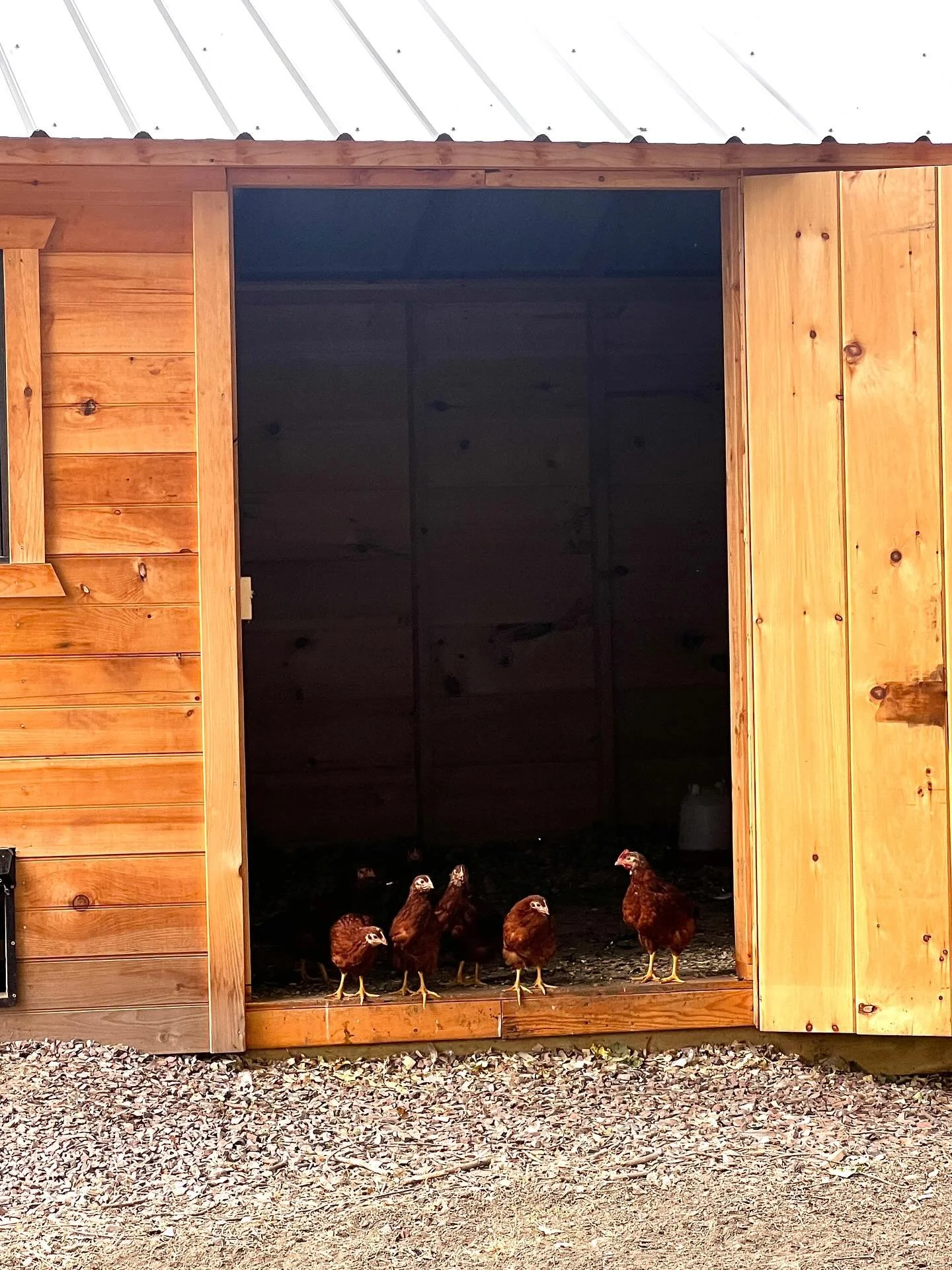 We&rsquo;ll be starting deliveries into the city late September.  Sign up now to reserve your Vermont Dozen. #newyork #nyc #fannelliscafe #happiergrocer #wholefoods #traderjoes #unionsquare #unionsquarenyc #sohonyc #tribecanyc #tribecacitizen #astori