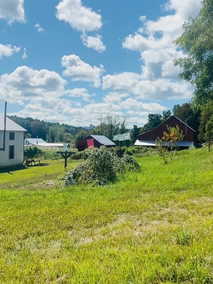 Did you know that our chicken coop was built by the local Amish using no power tools?  It was all hand-built, no electric or battery operated tools were used to build it.  All the wood used is also organic, no toxins used to treat the wood.
This is w