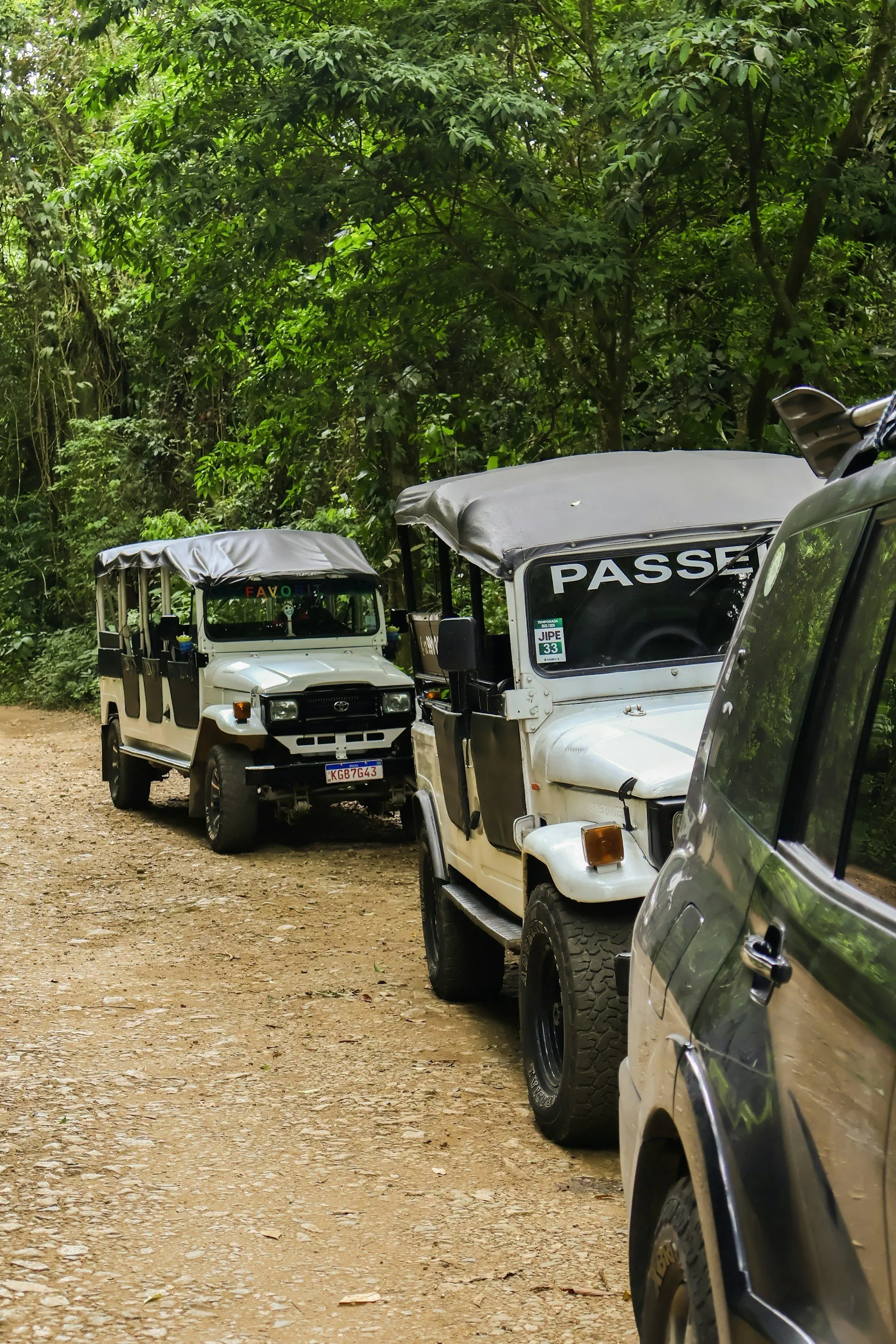 Several white off-road vehicles driving on a dirt road surrounded by dense green trees.