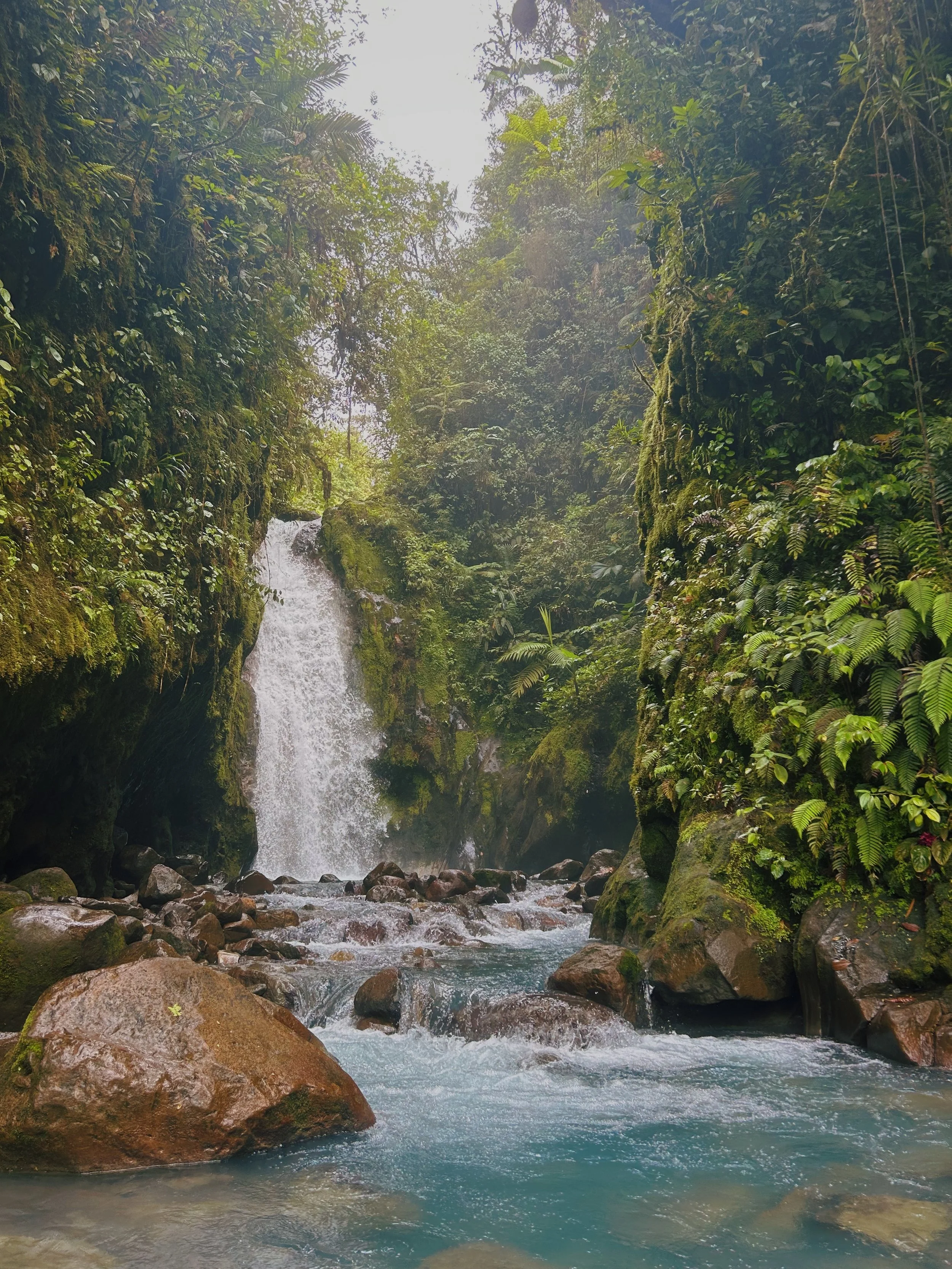 A waterfall flowing into a turquoise river surrounded by lush green foliage in a rainforest.