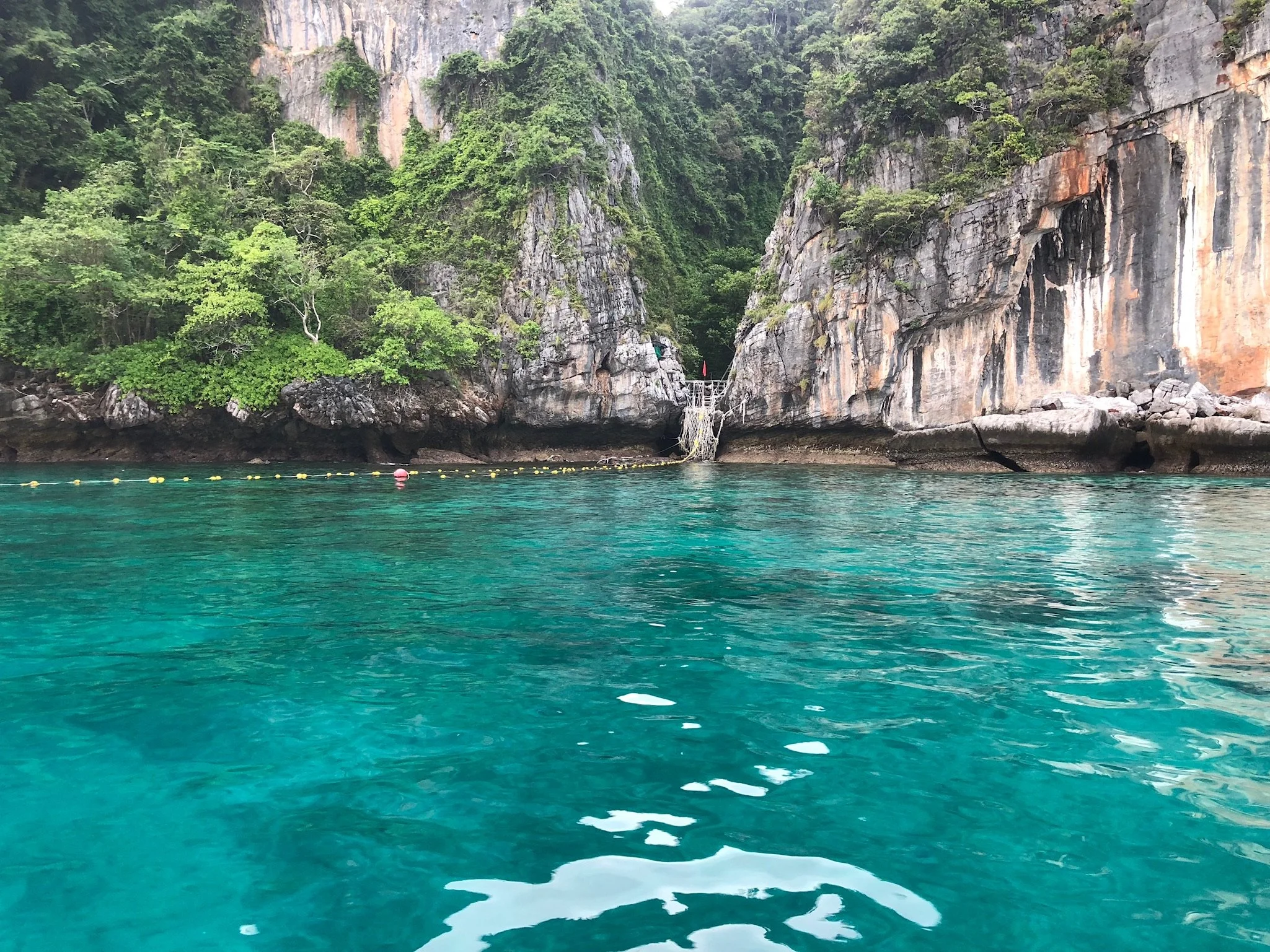 A view of a rocky, green-clad cliffs overlooking turquoise water with buoys floating along the shoreline.
