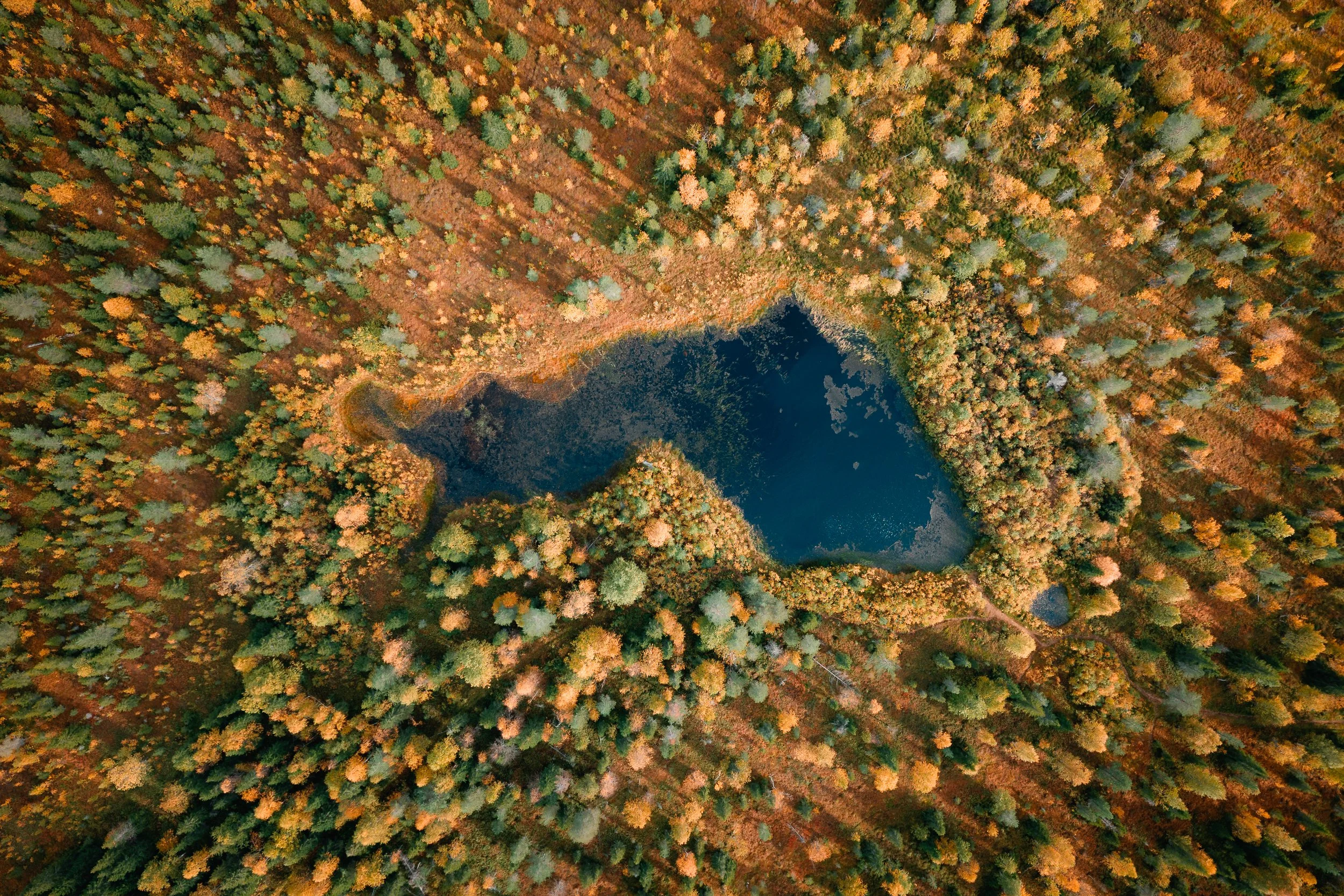 DJI_20260905151836_0013_D.jpg