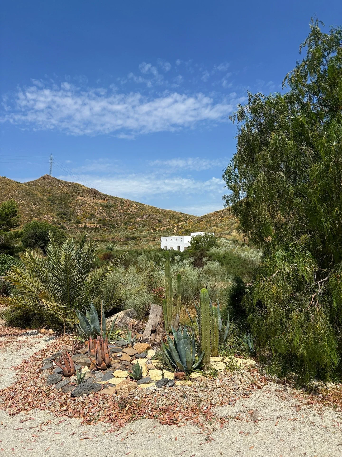Details at Oru El Saltador 🌿