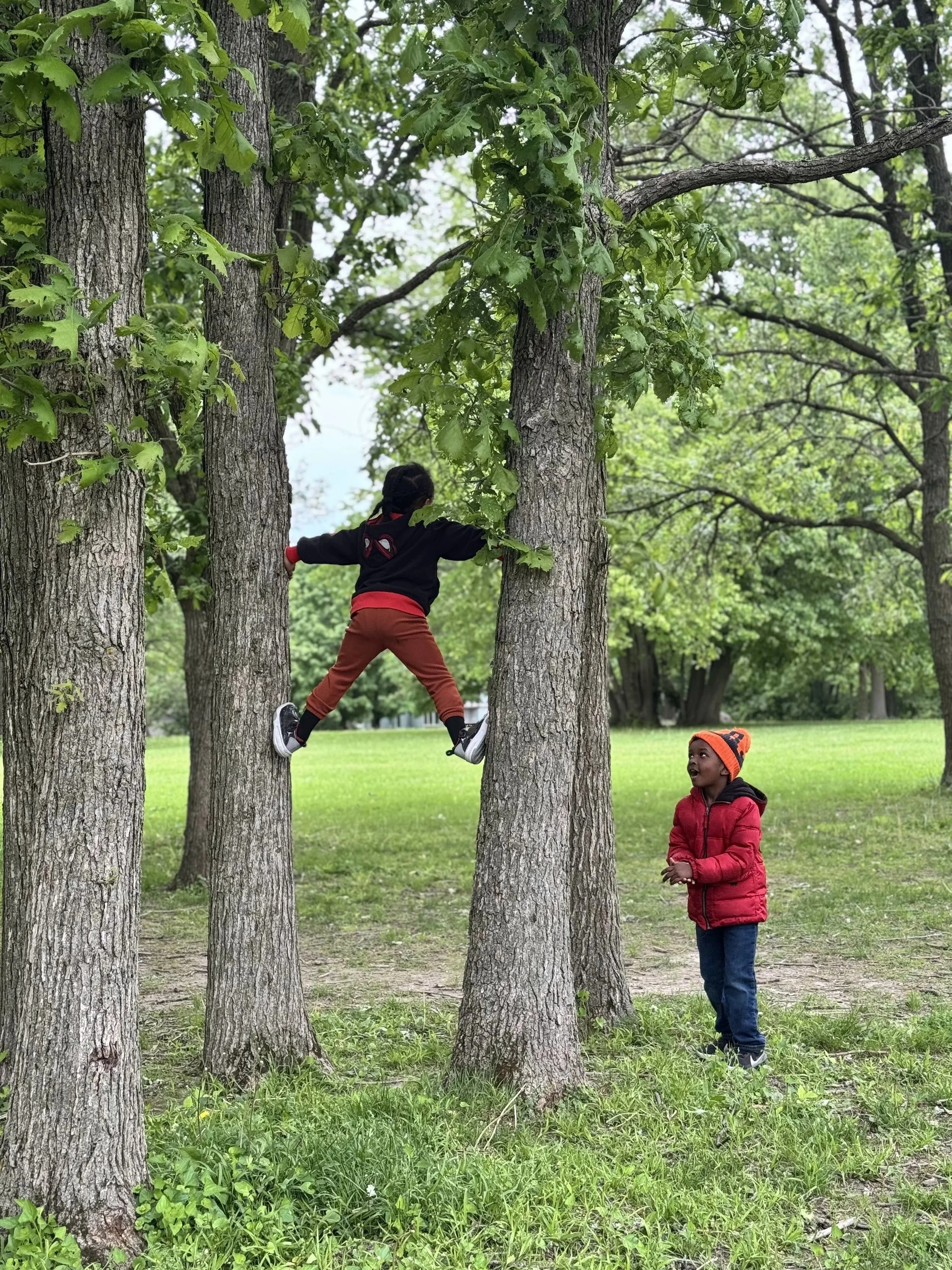 Nature Based Microschool