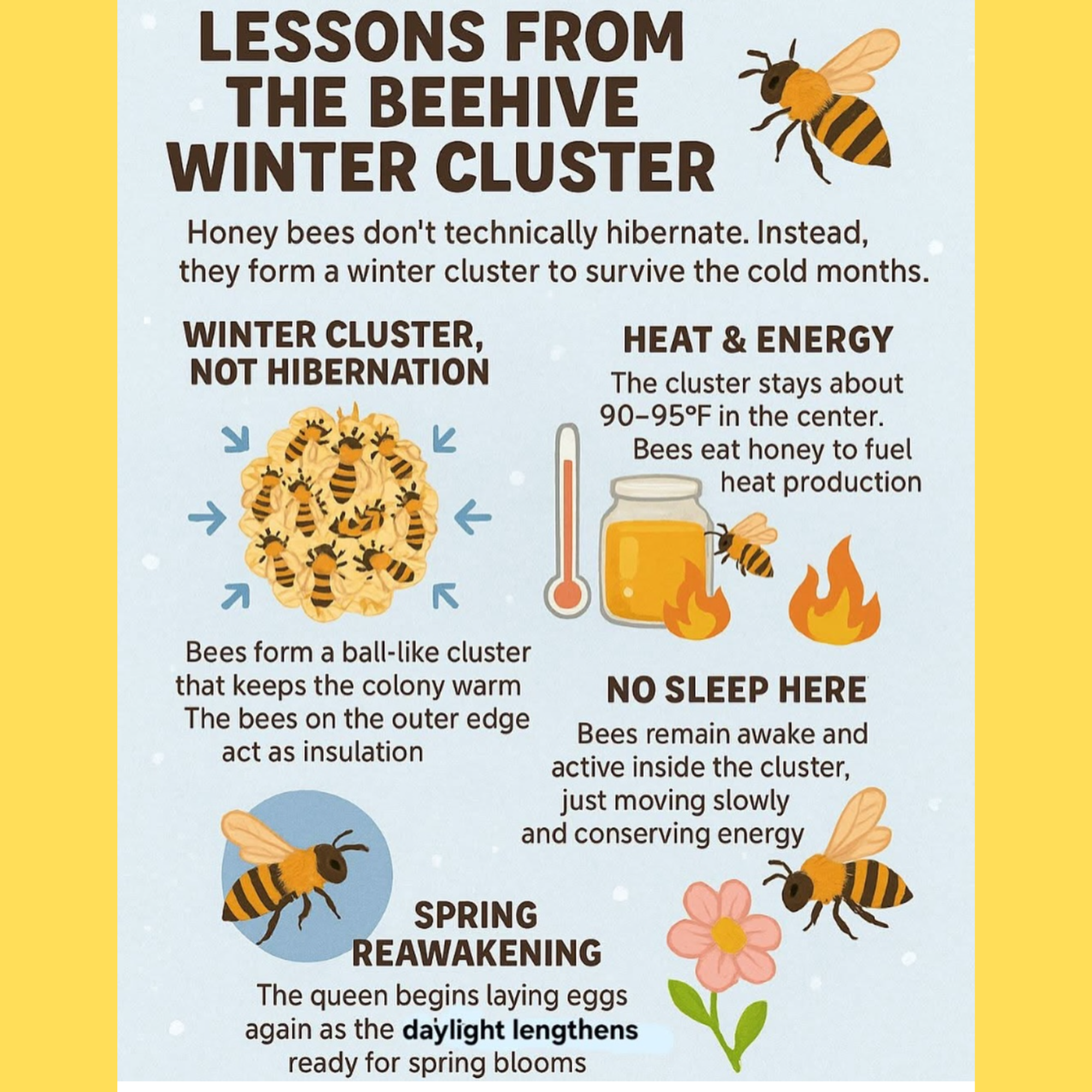 Winter Cluster (Square).png