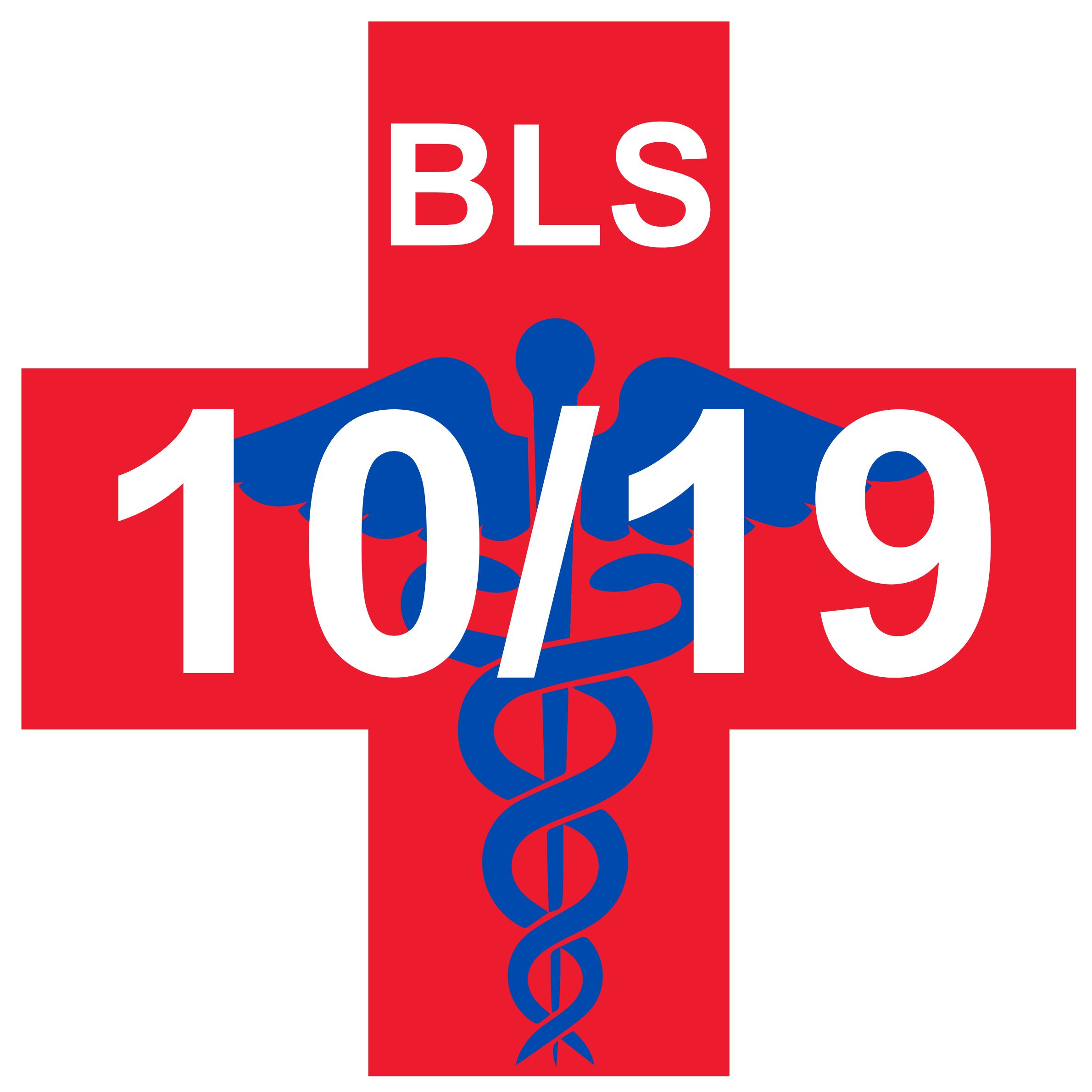 CPR Class Graphics (11).png