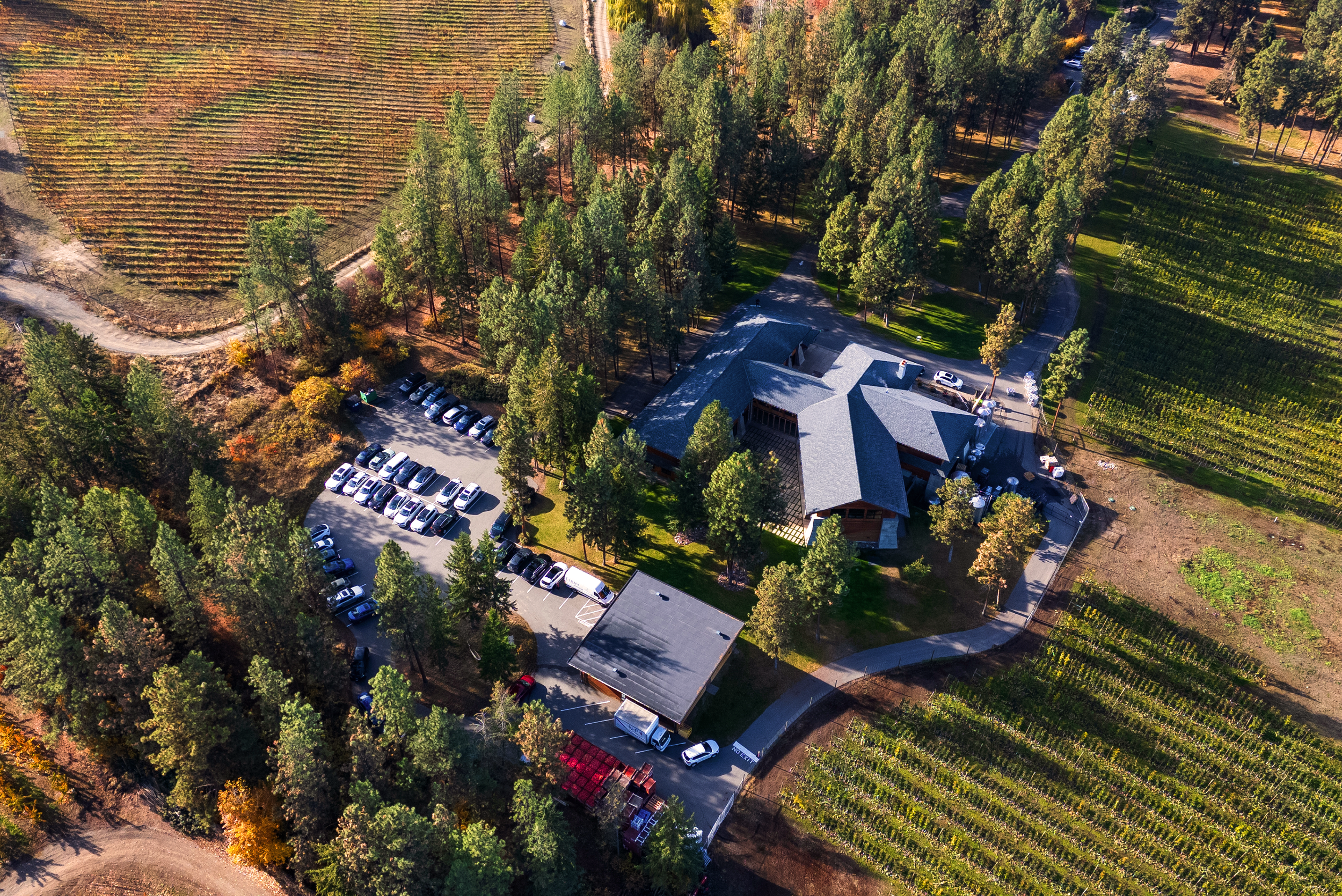 Offsite at Soma Cidery Drone  2-edit.png