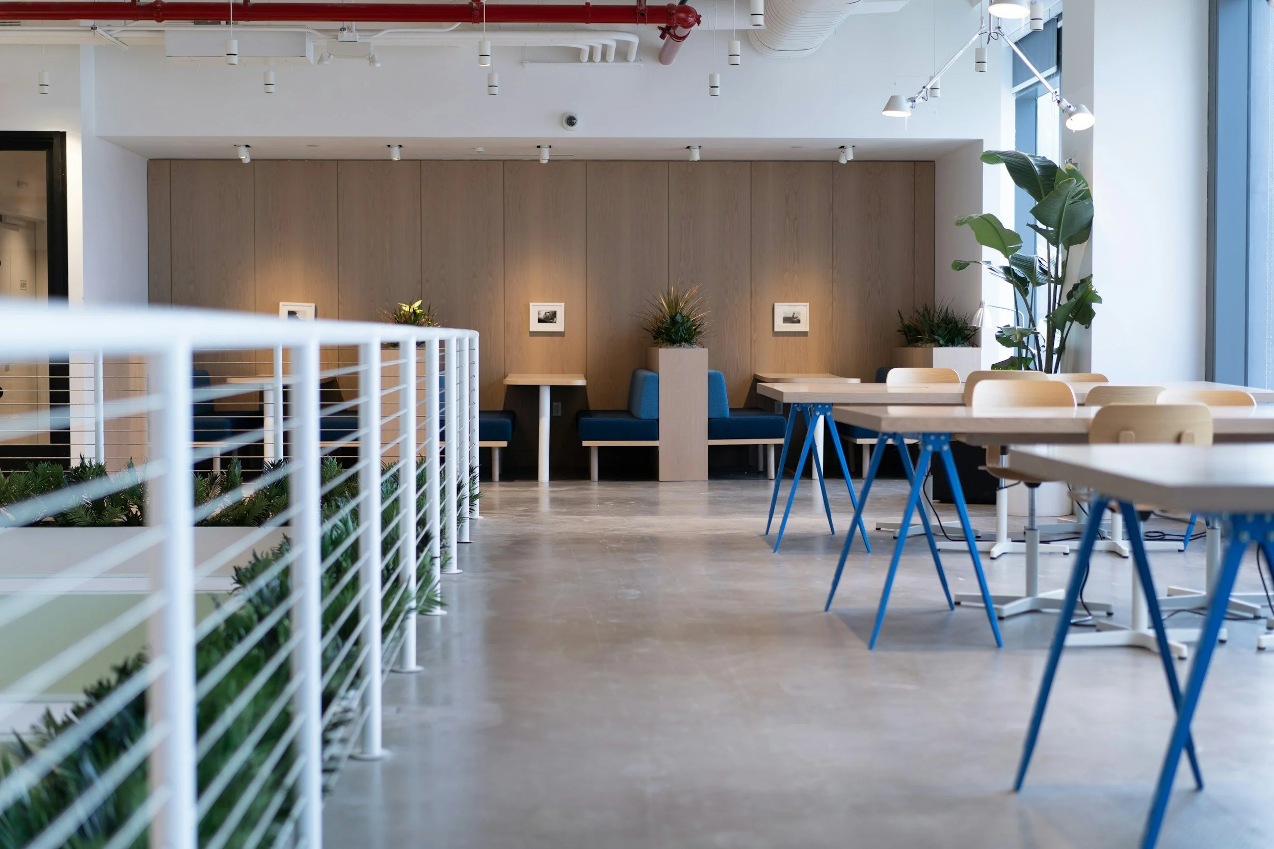 Modern and empty cafe interior with wooden wall, blue and wooden chairs, tables, large windows, and green plants.