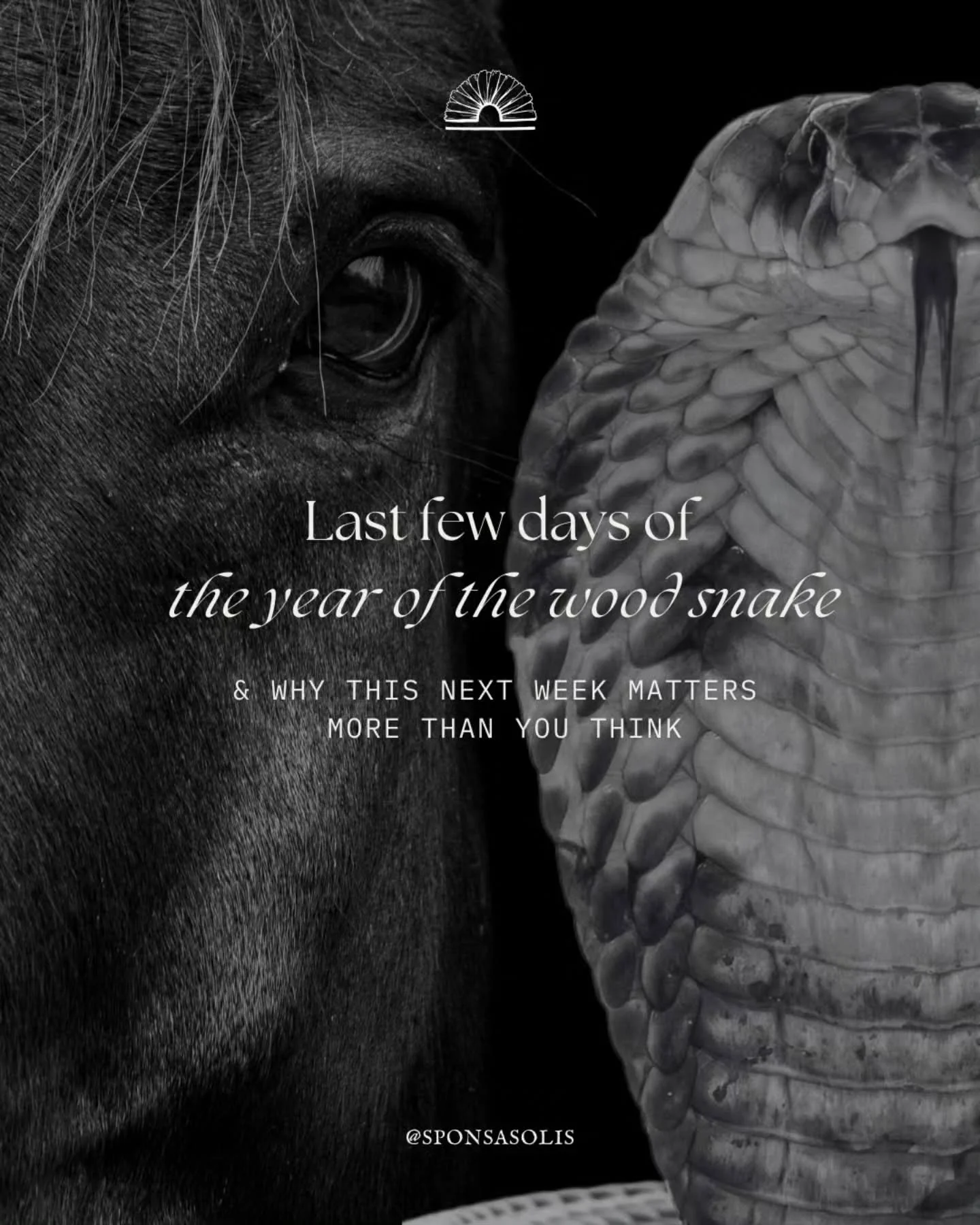 In exactly a week, on February 17, we'll be transitioning from the year of the wood snake to the year of the fire horse 🐎 The fire horse bring about vigor, revolution, speed and illumination and will amplify any energy you transmit. February 17 is a