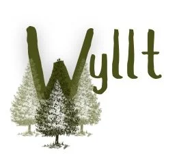 Wyllt