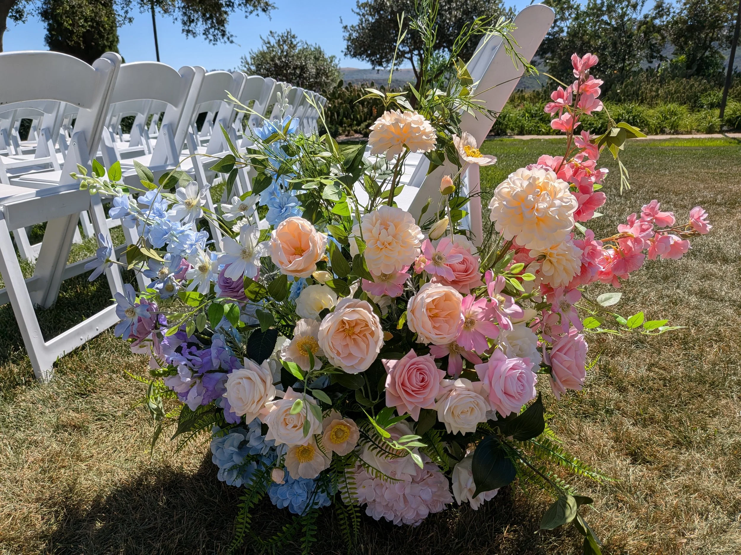PXL_20260808_223503404.jpg