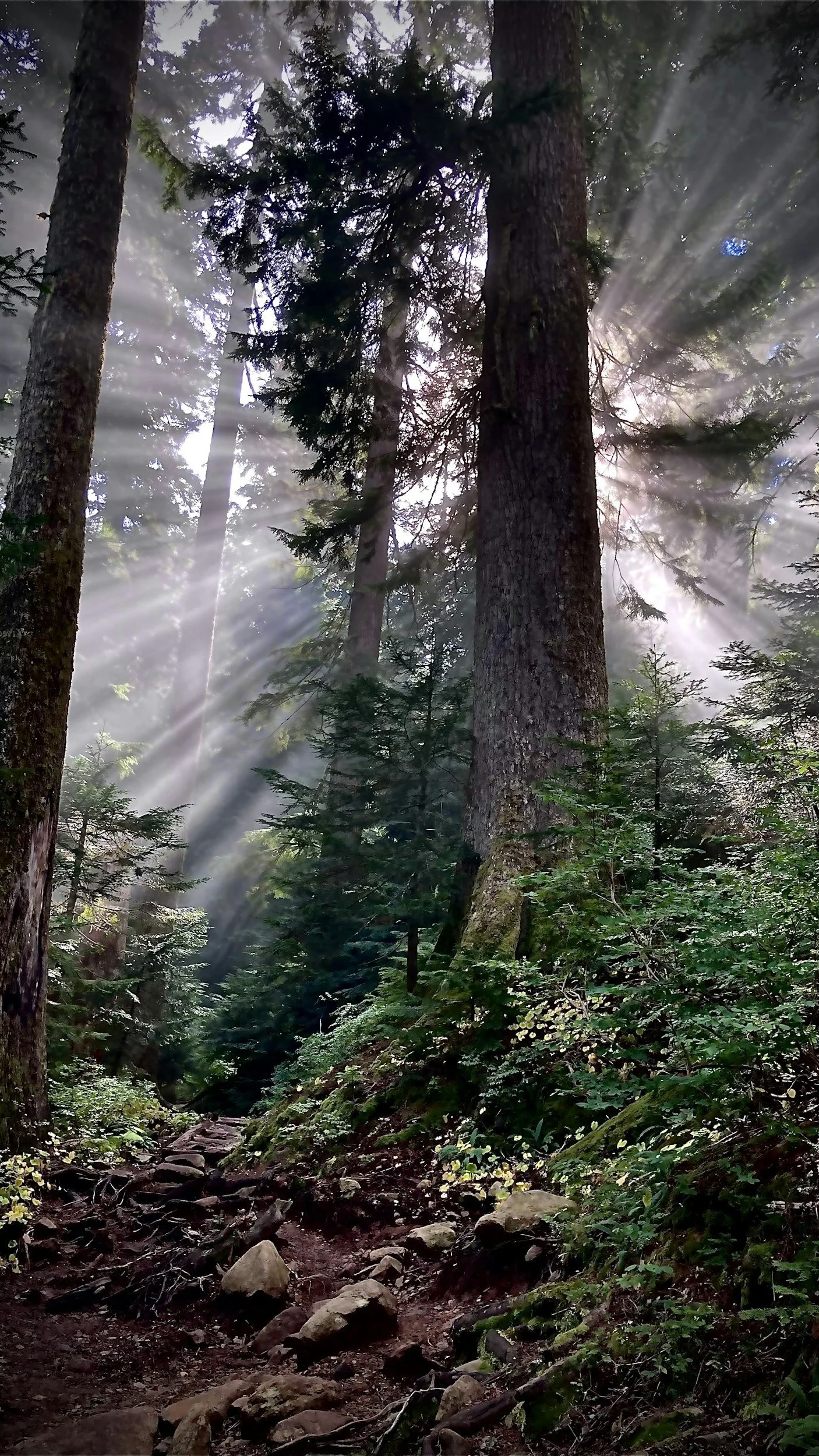 A KOSHER CAMPING EXPERIENCE